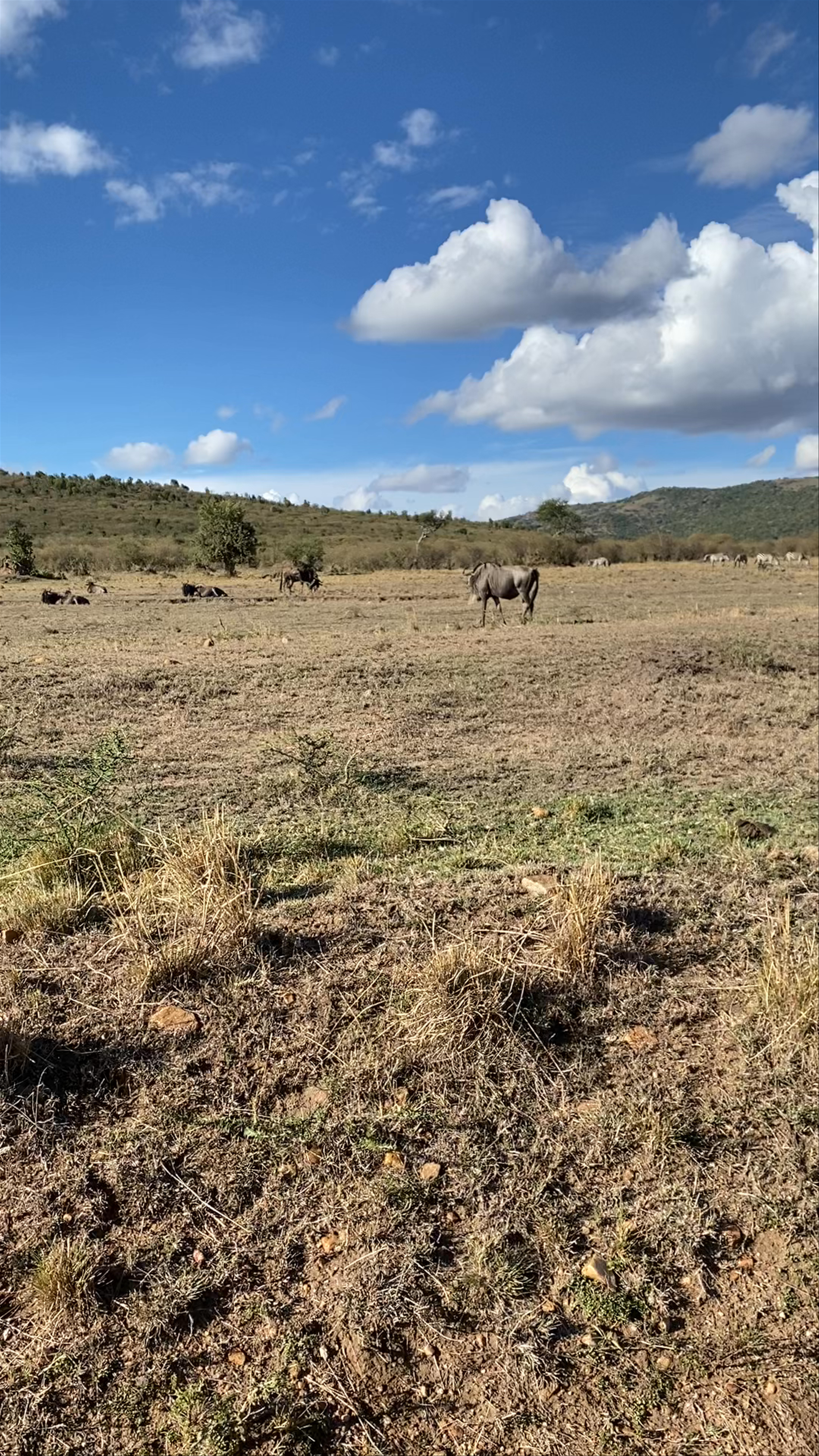 Masai Mara National Reserve
