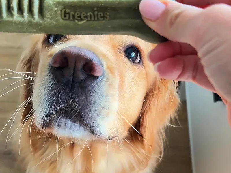 Greenies