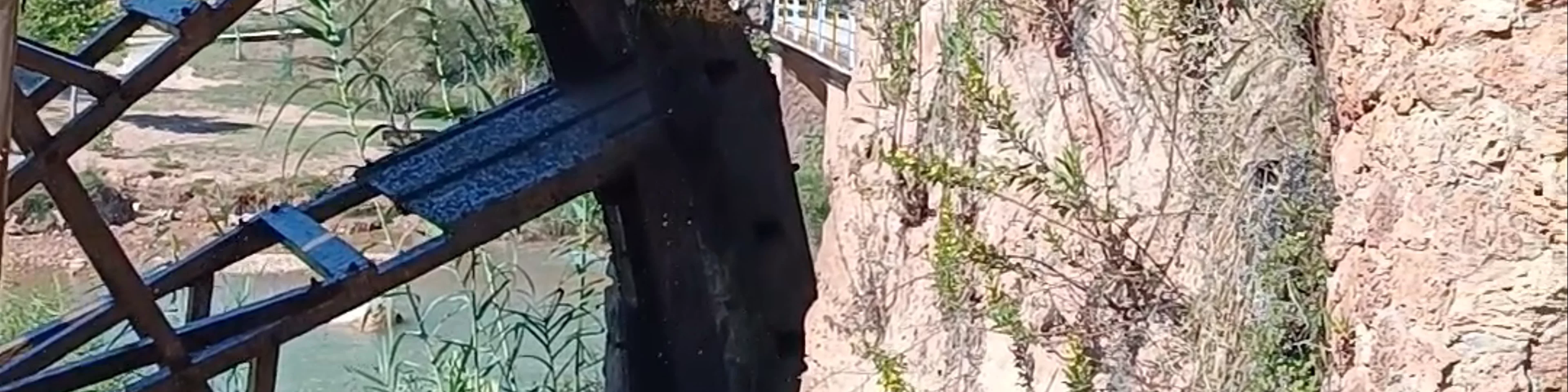Noria hidráulica y zona de baño