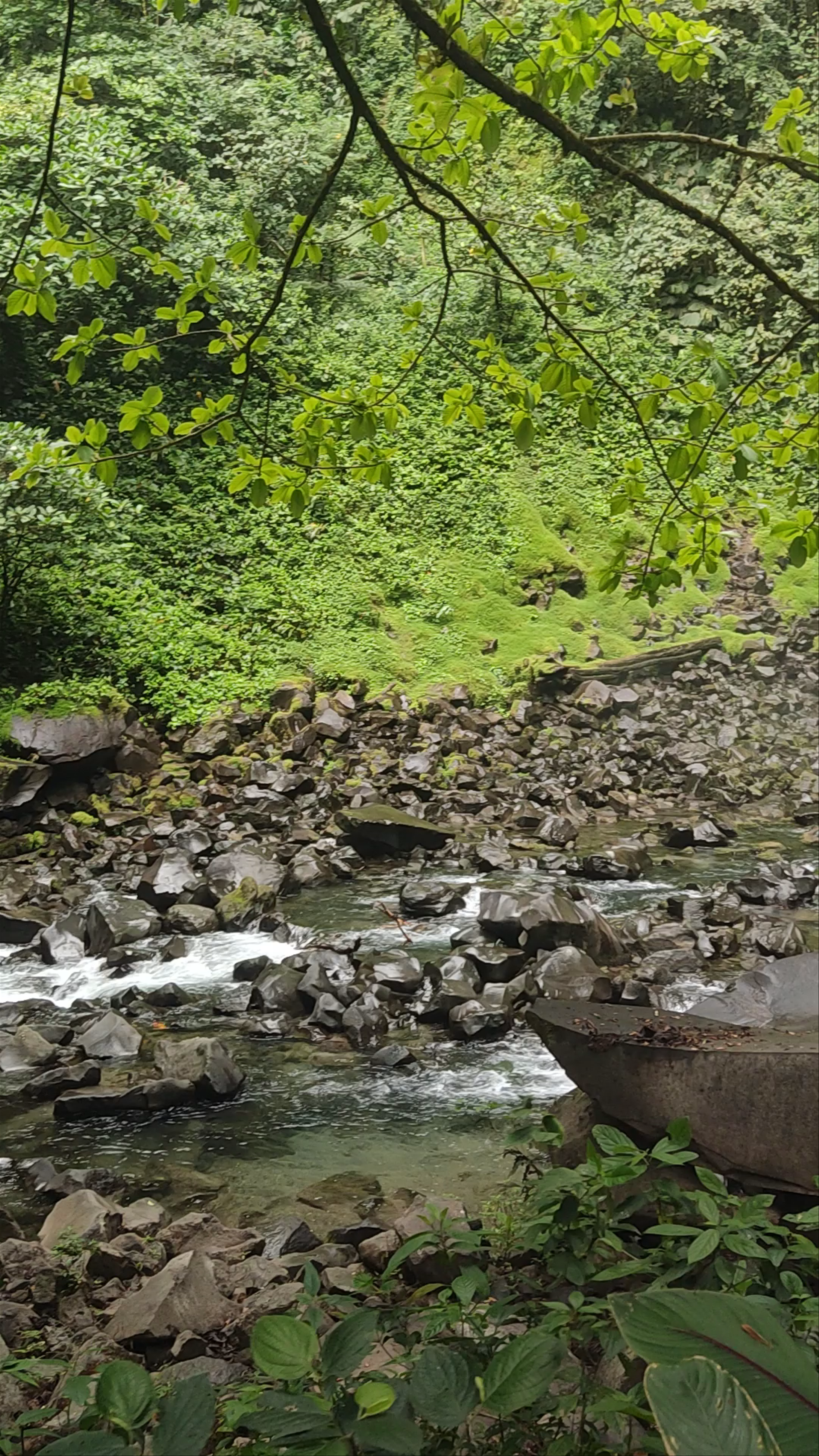 La Fortuna Waterfall