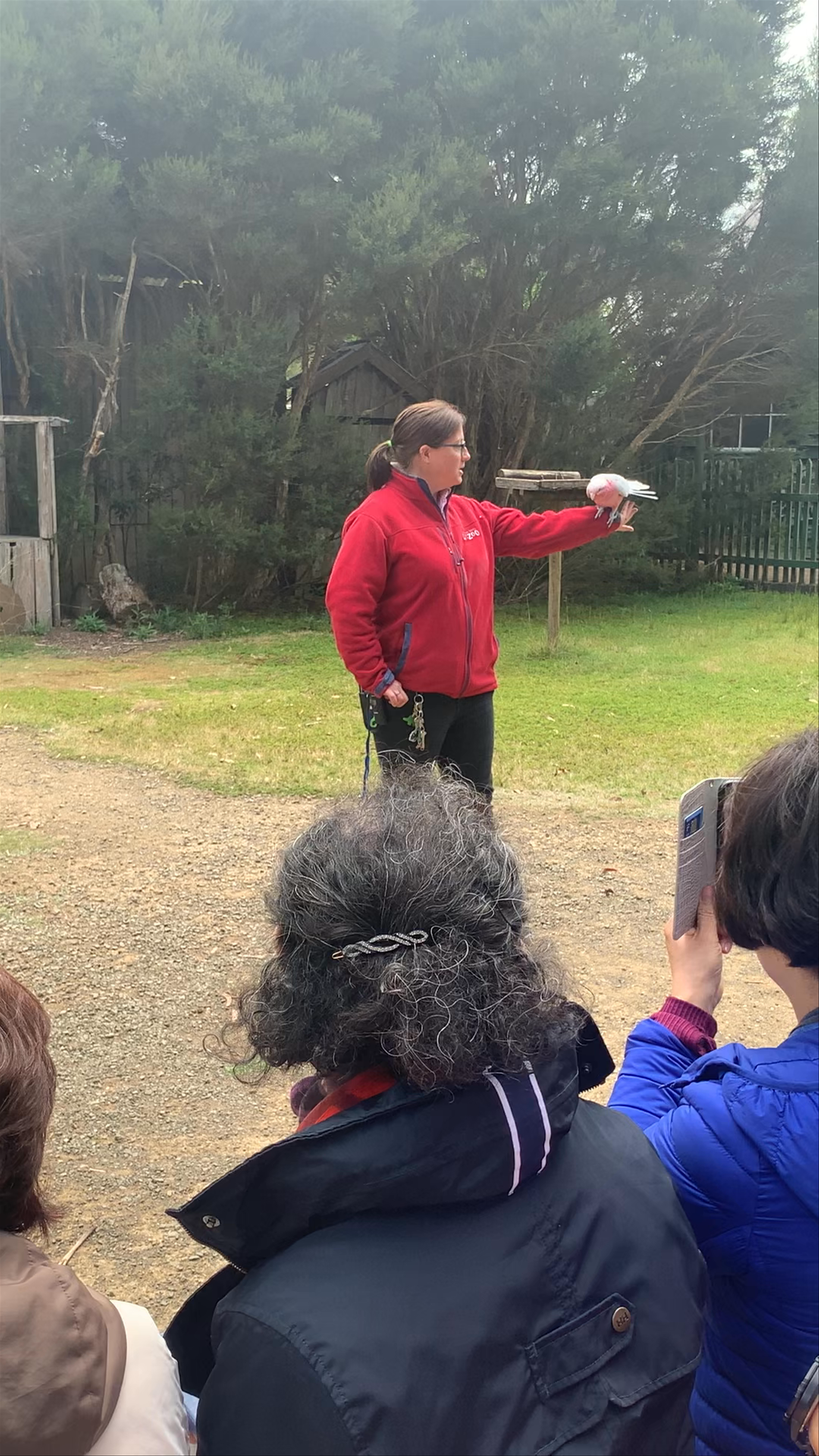 Tasmanian Devil Unzoo