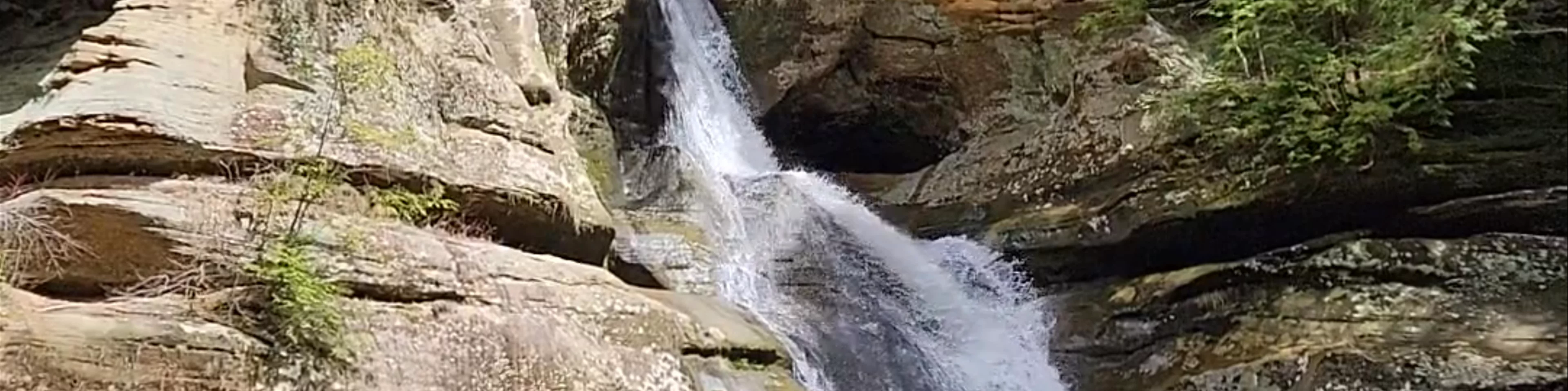 Cedar Falls