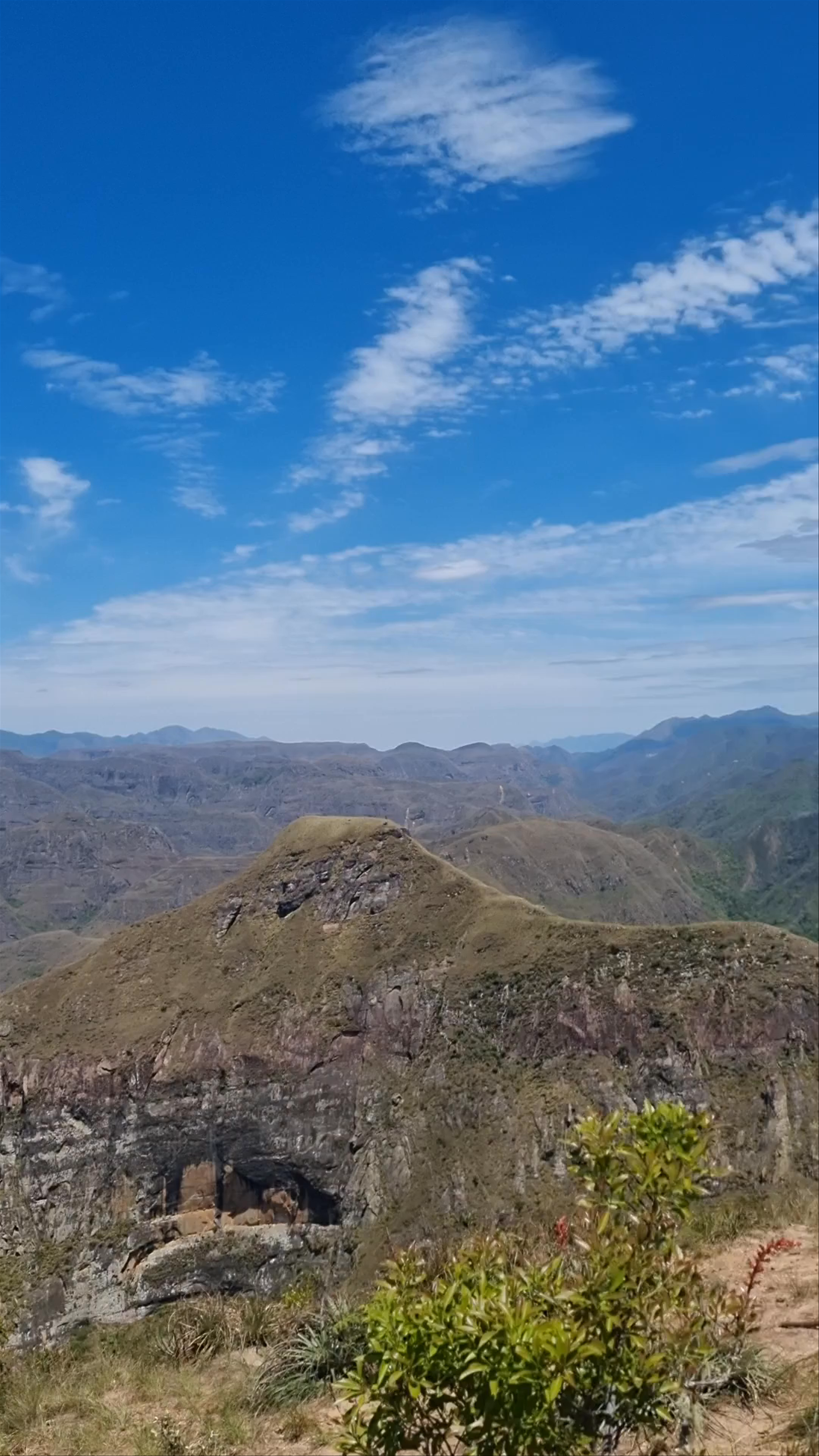 Codo de los andes Bellavista