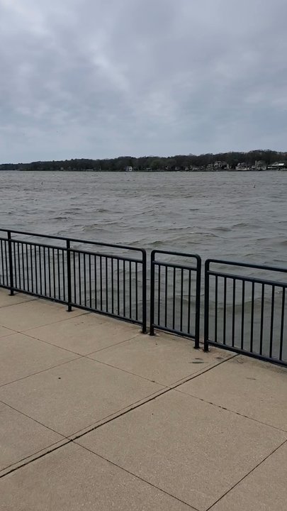Kollen Park - Parks Near Me - Holland, Michigan