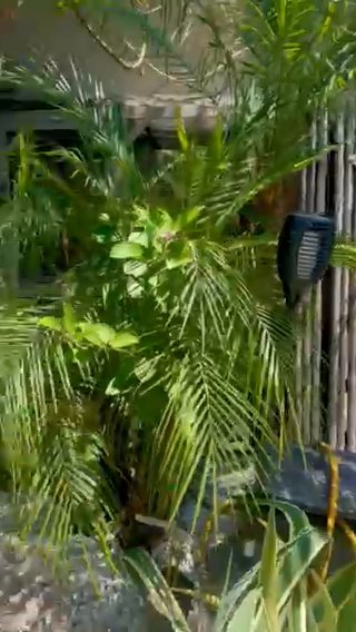 Listing photo-2