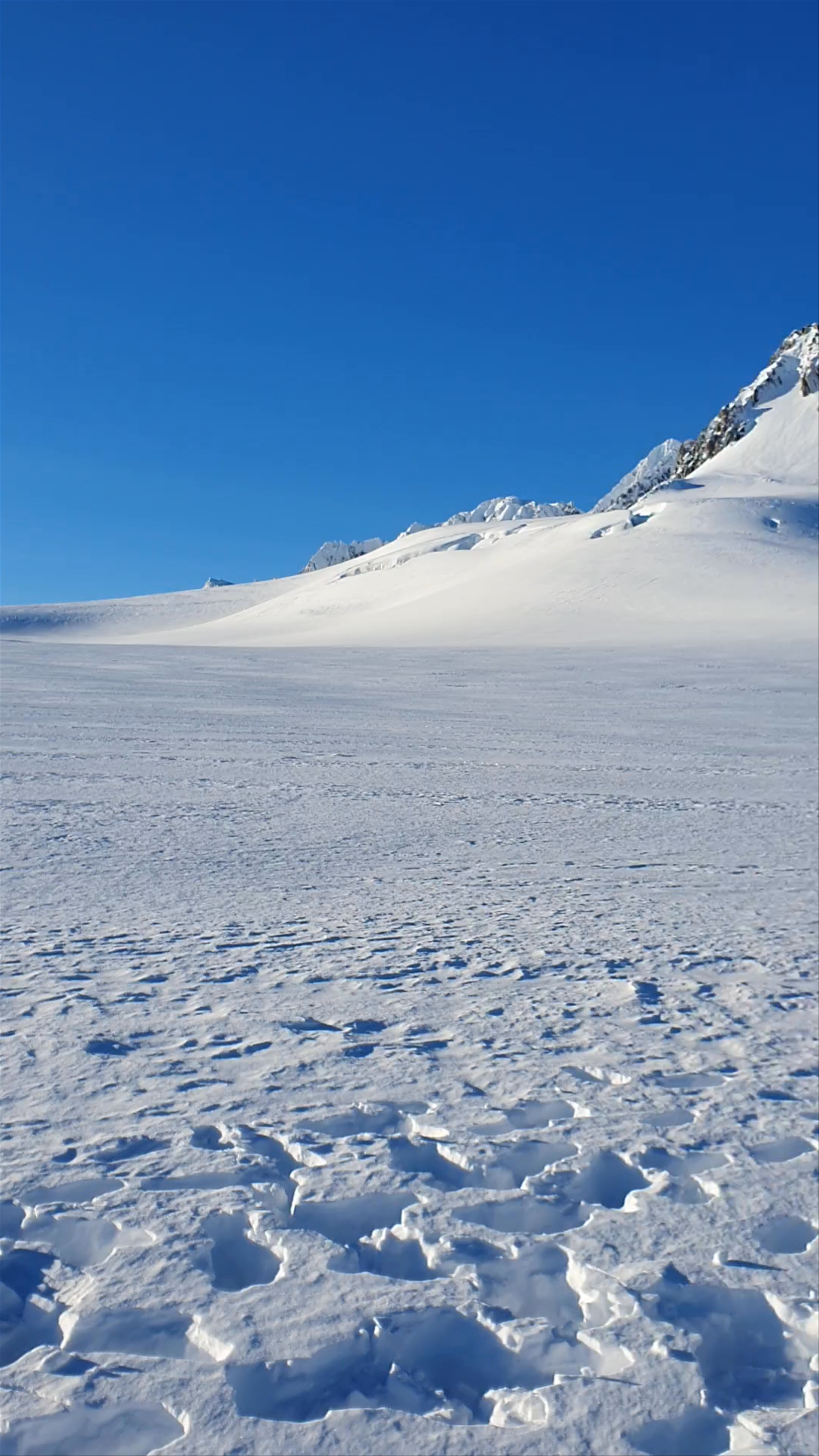 Franz Josef Glacier