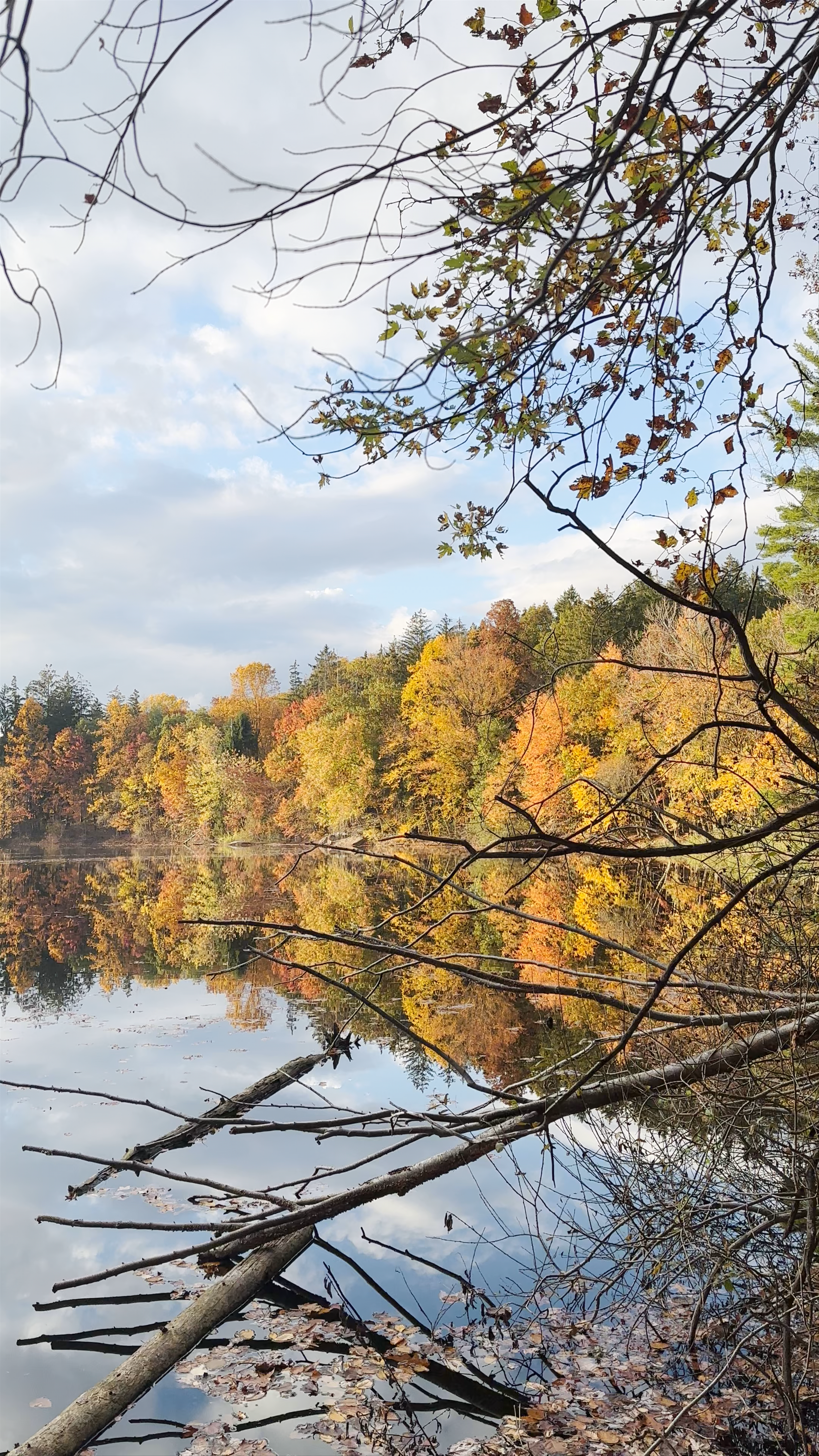 O'Hara Nature Center