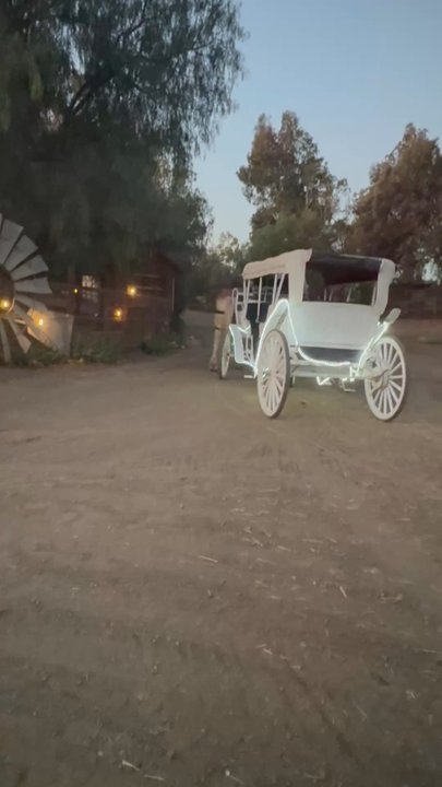Temecula Carriage Company - Video of our carriage - Wine Tours Near Me - Temecula, California