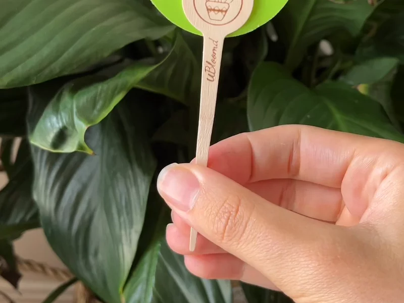 UBloomd