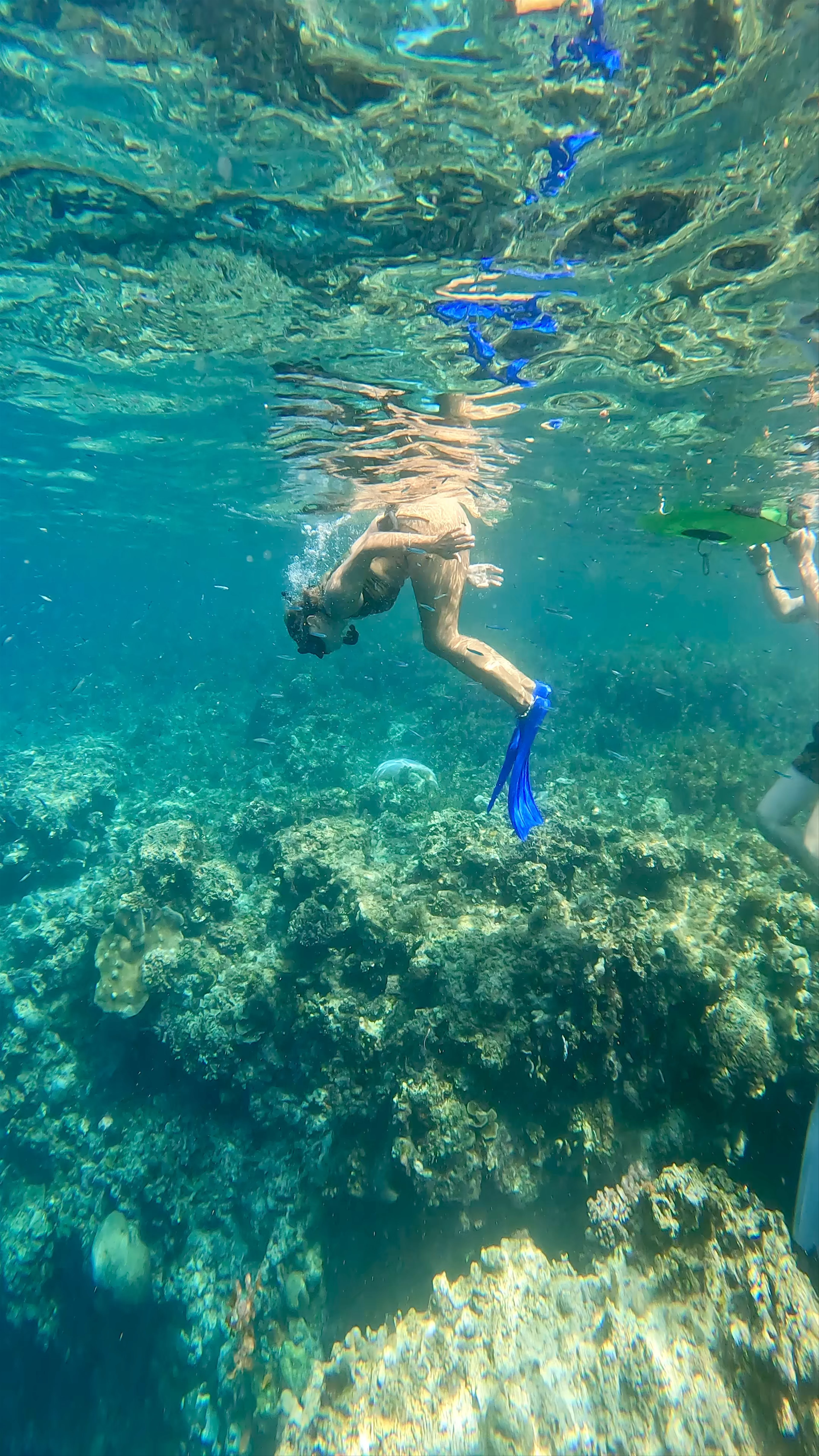 Napaling Reef, napaling drive, Panglao, Bohol, Philippines