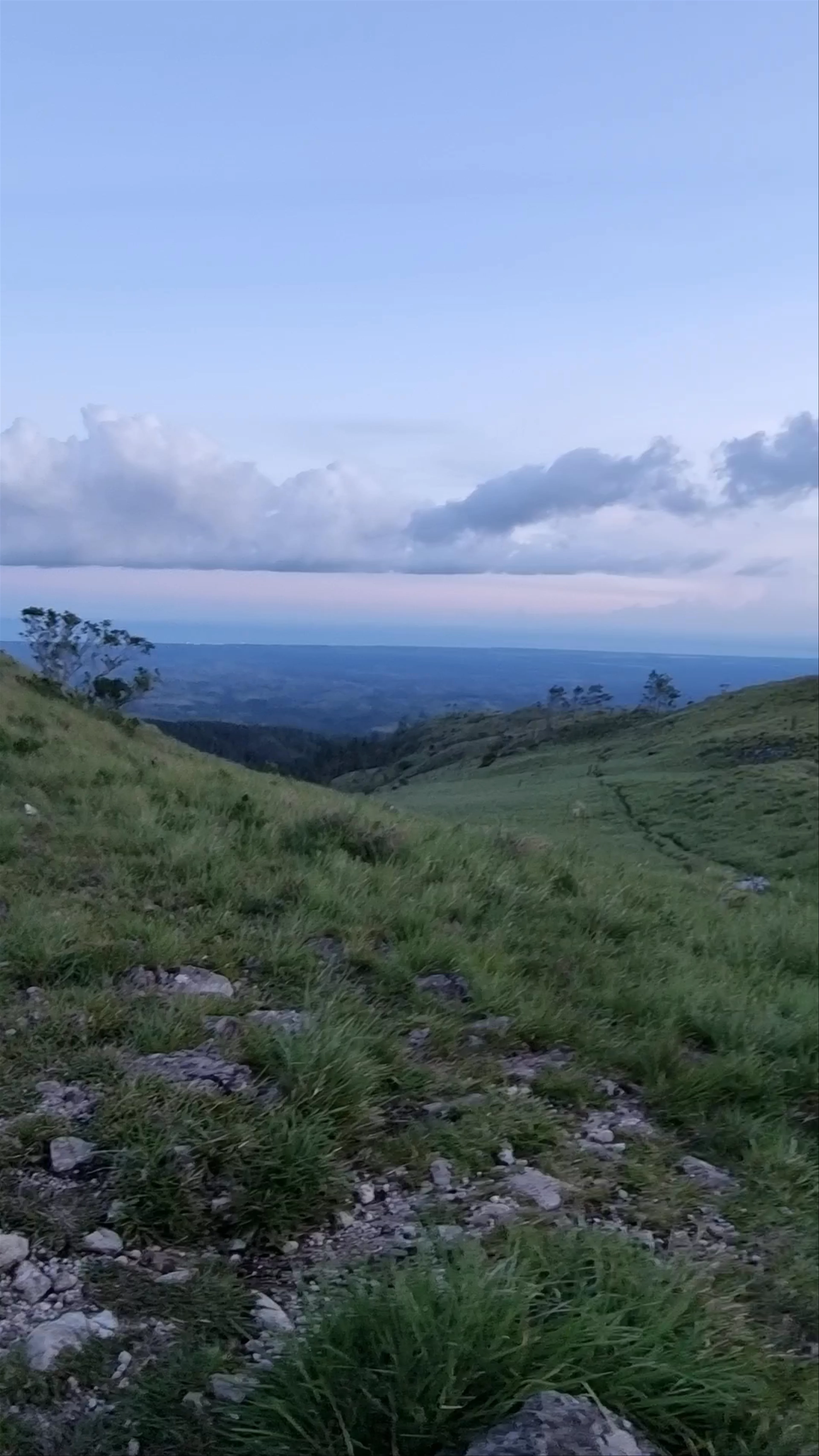 Cerro Cariguana