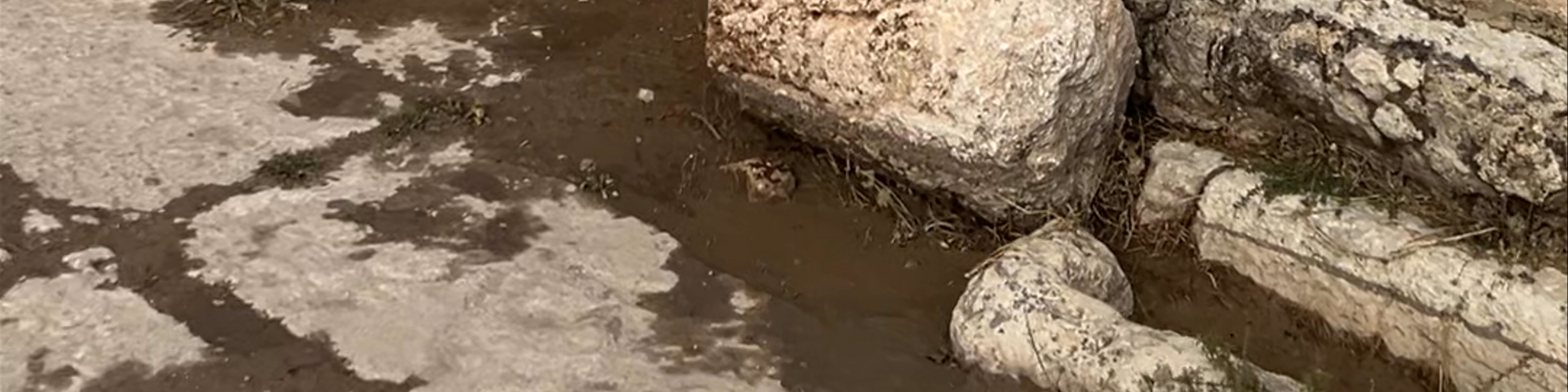 Amman