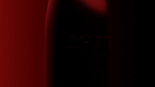 CHANEL - ROUGE 31 - © Area of Work