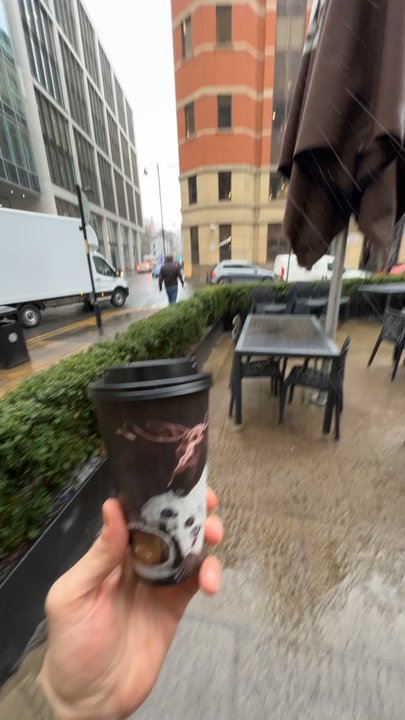 Moose Coffee - American Near Me - Manchester, XGM