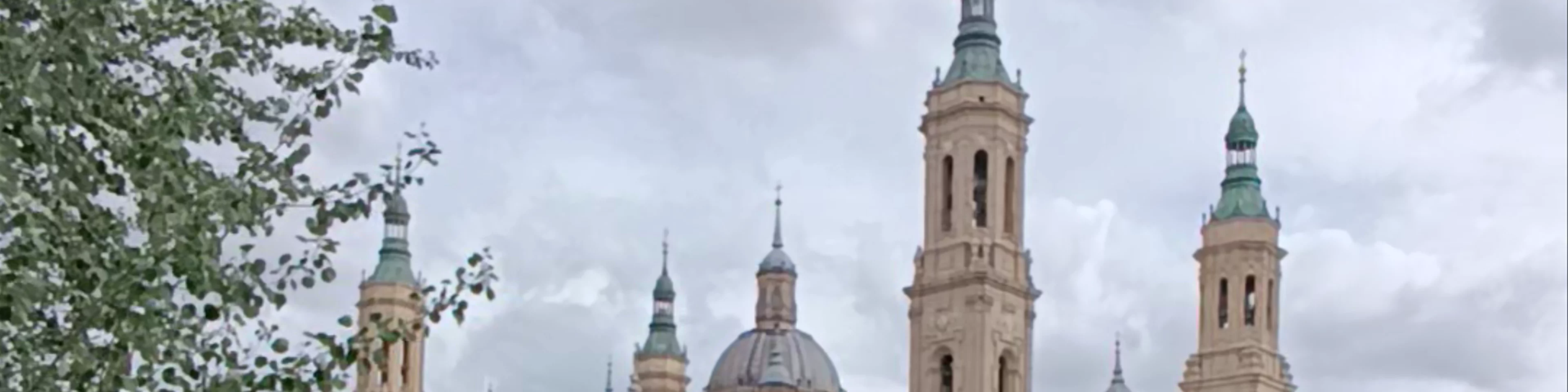 Arboleda de Macanaz
