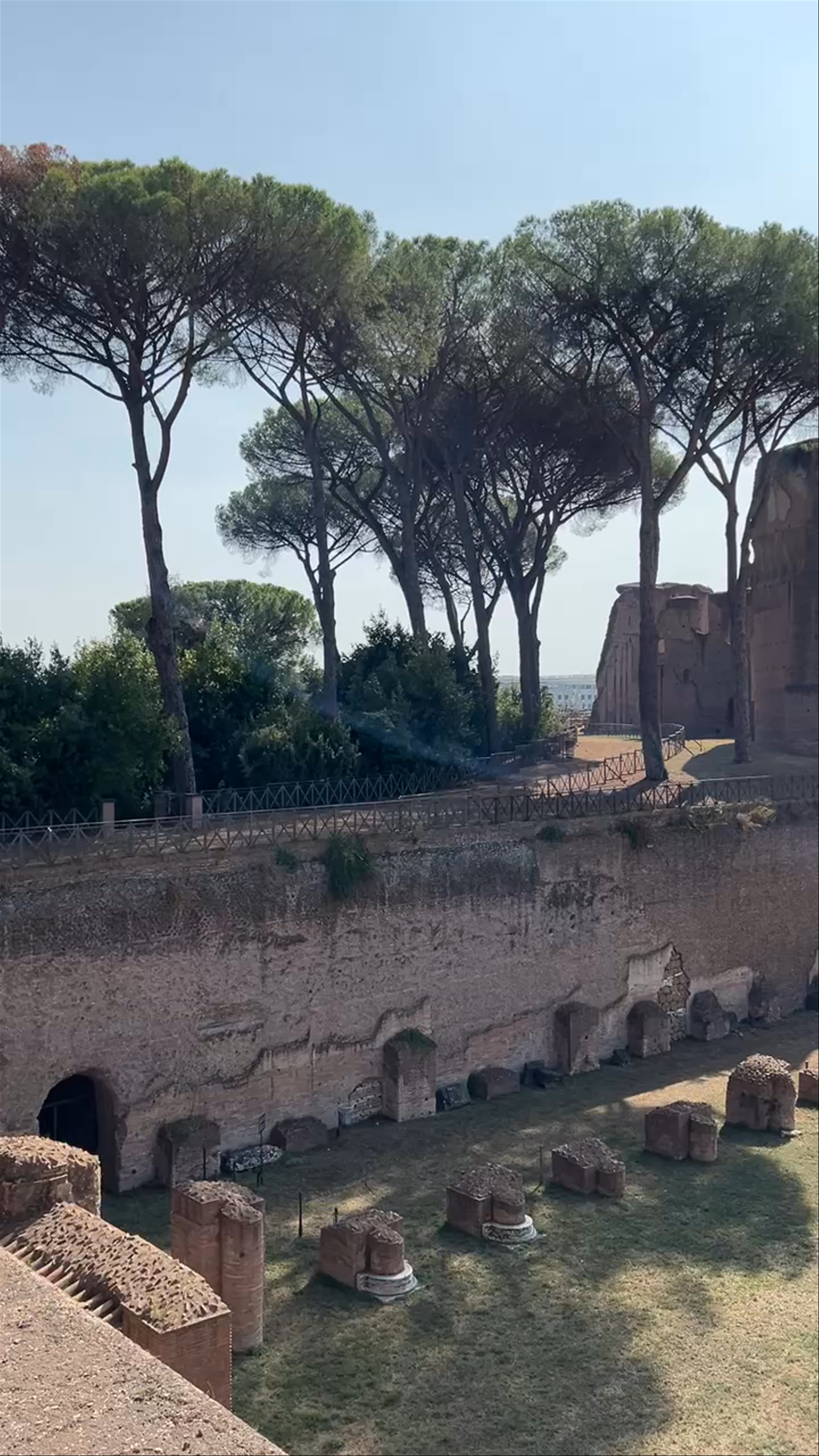 Monte Palatino: The Timeless Heart of Ancient Rome