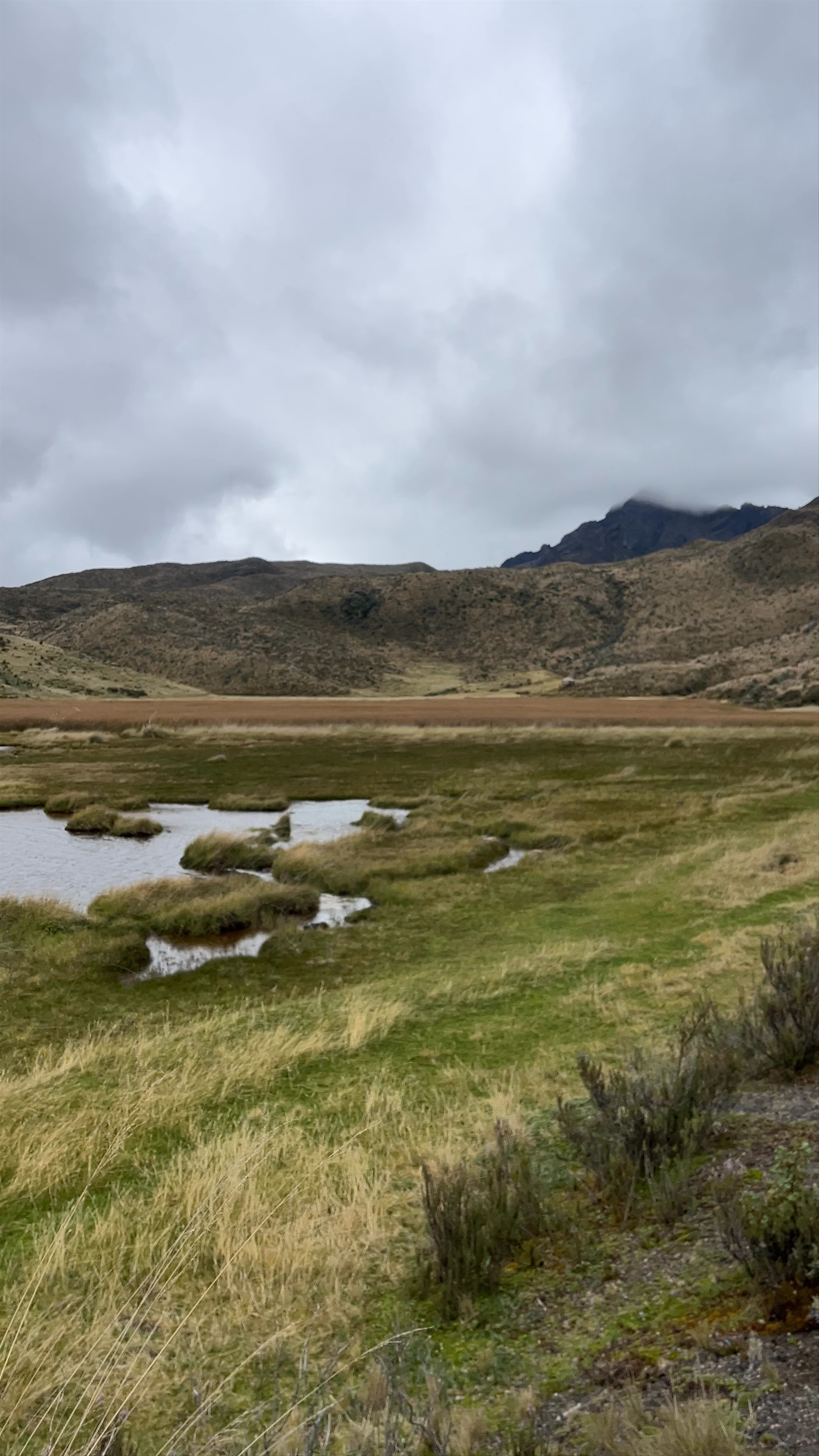 Laguna de Limpiopung