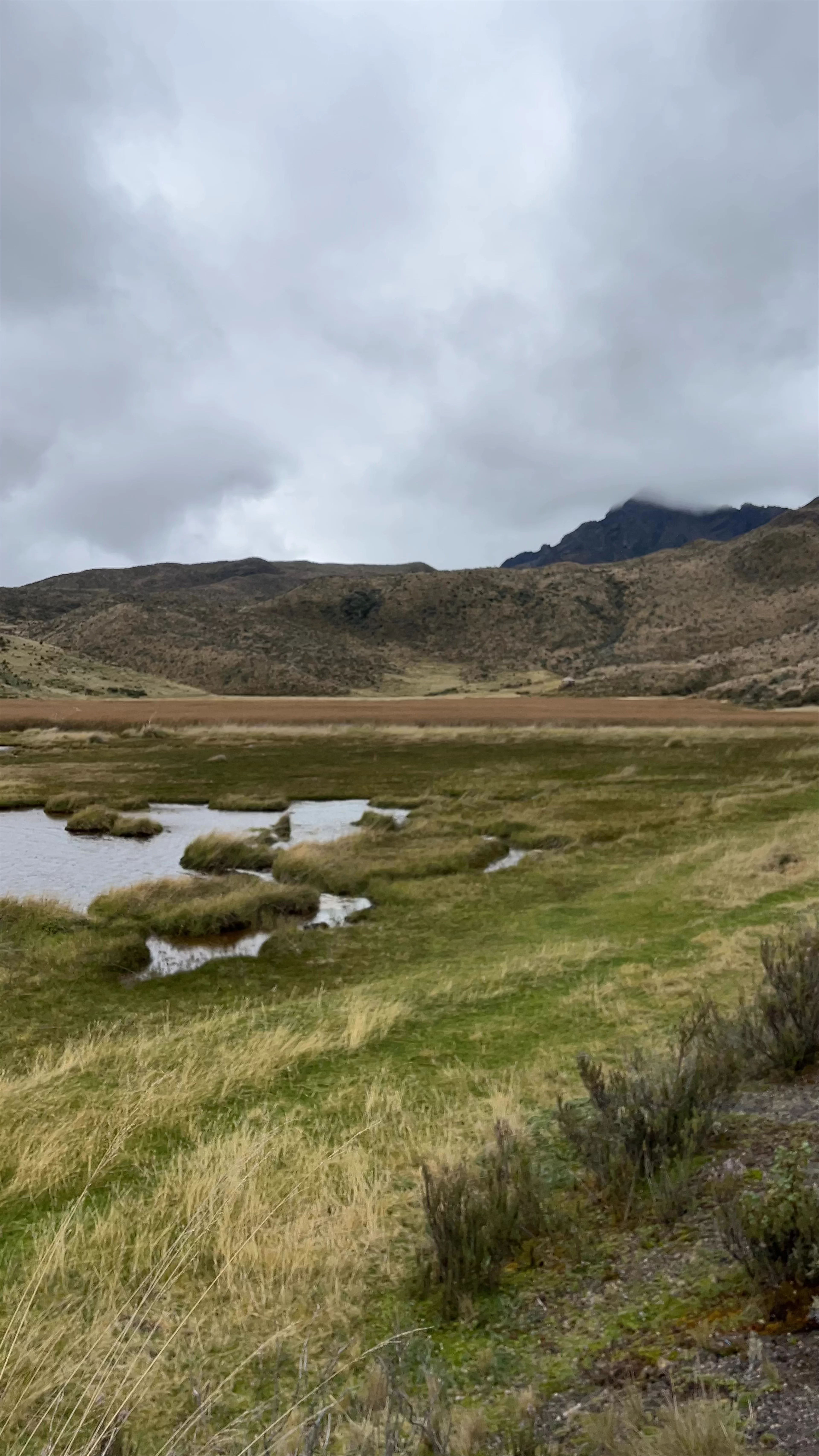 Laguna de Limpiopung