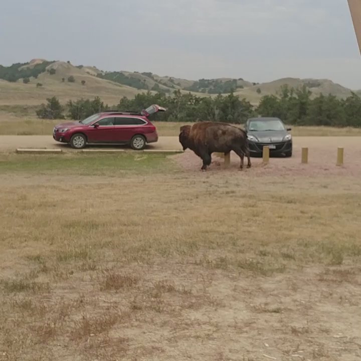 Sage Creek Campground - Campgrounds Near Me - Wall, South Dakota