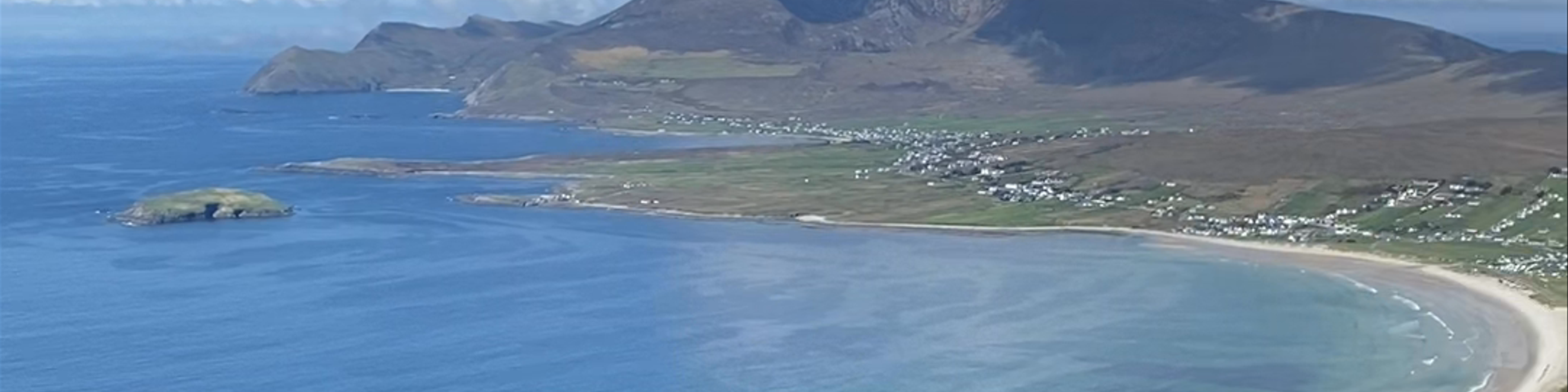 Mayo