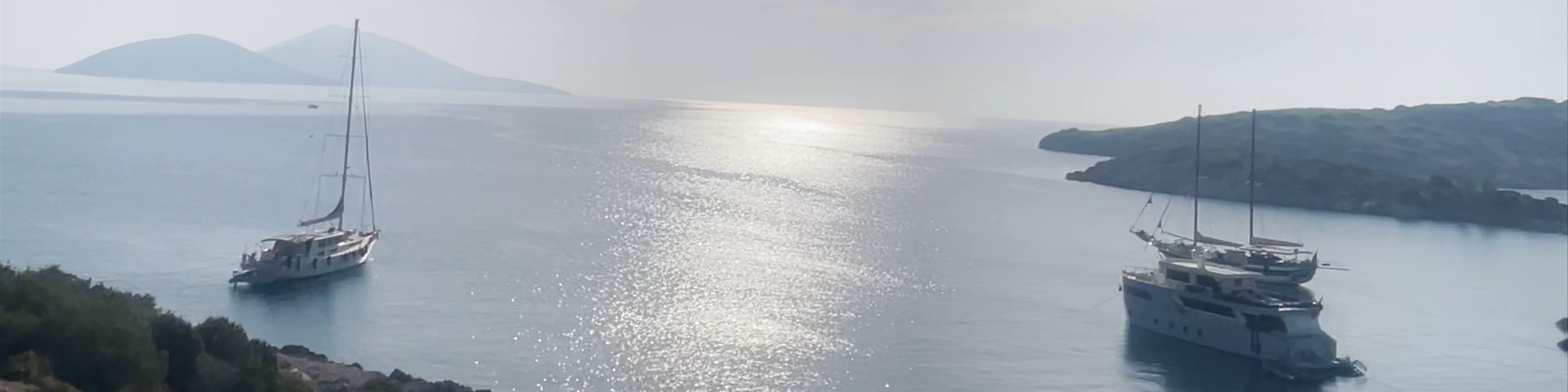 Akvaryum Koyu