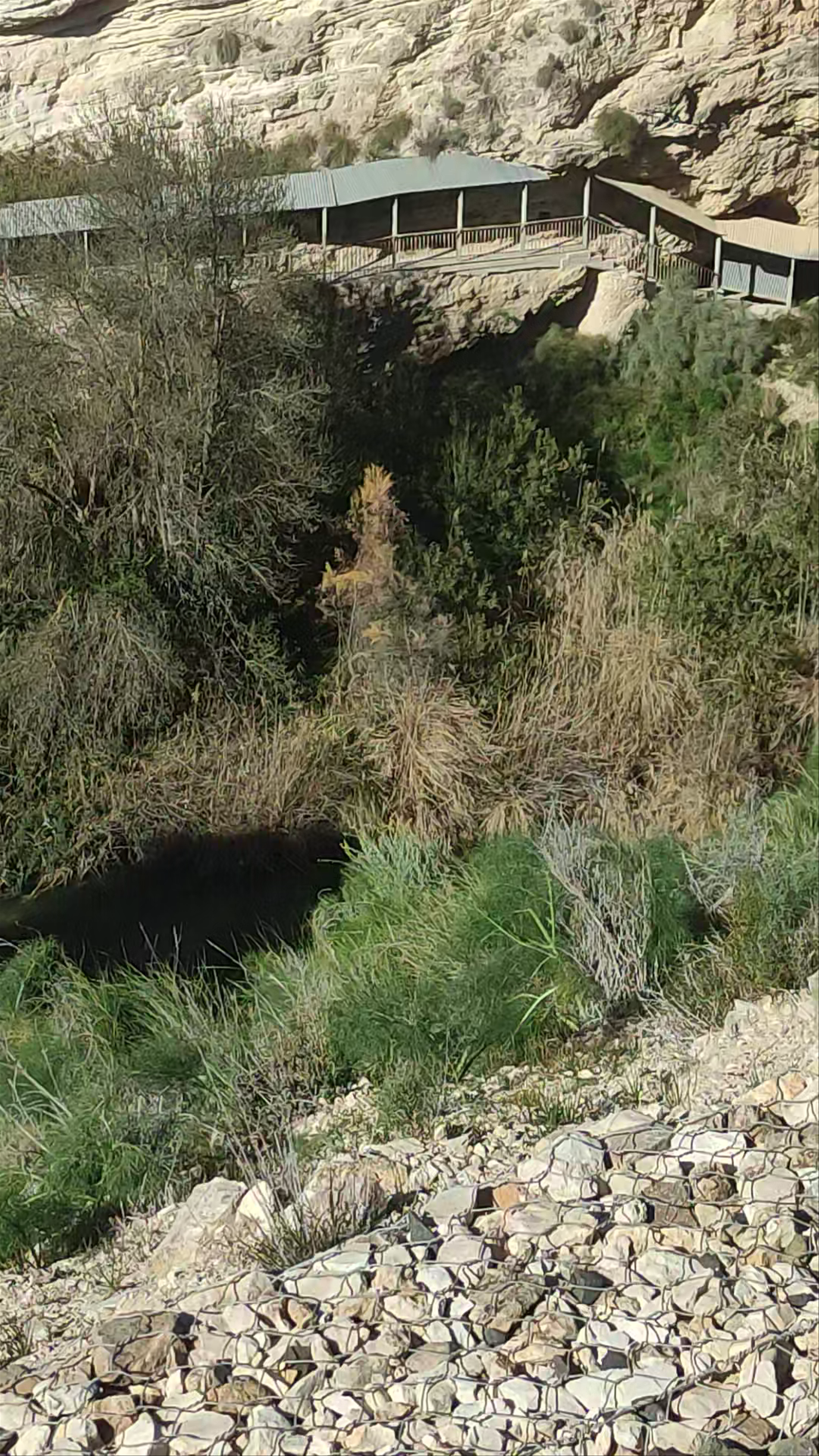 Almadenes del Río Mundo