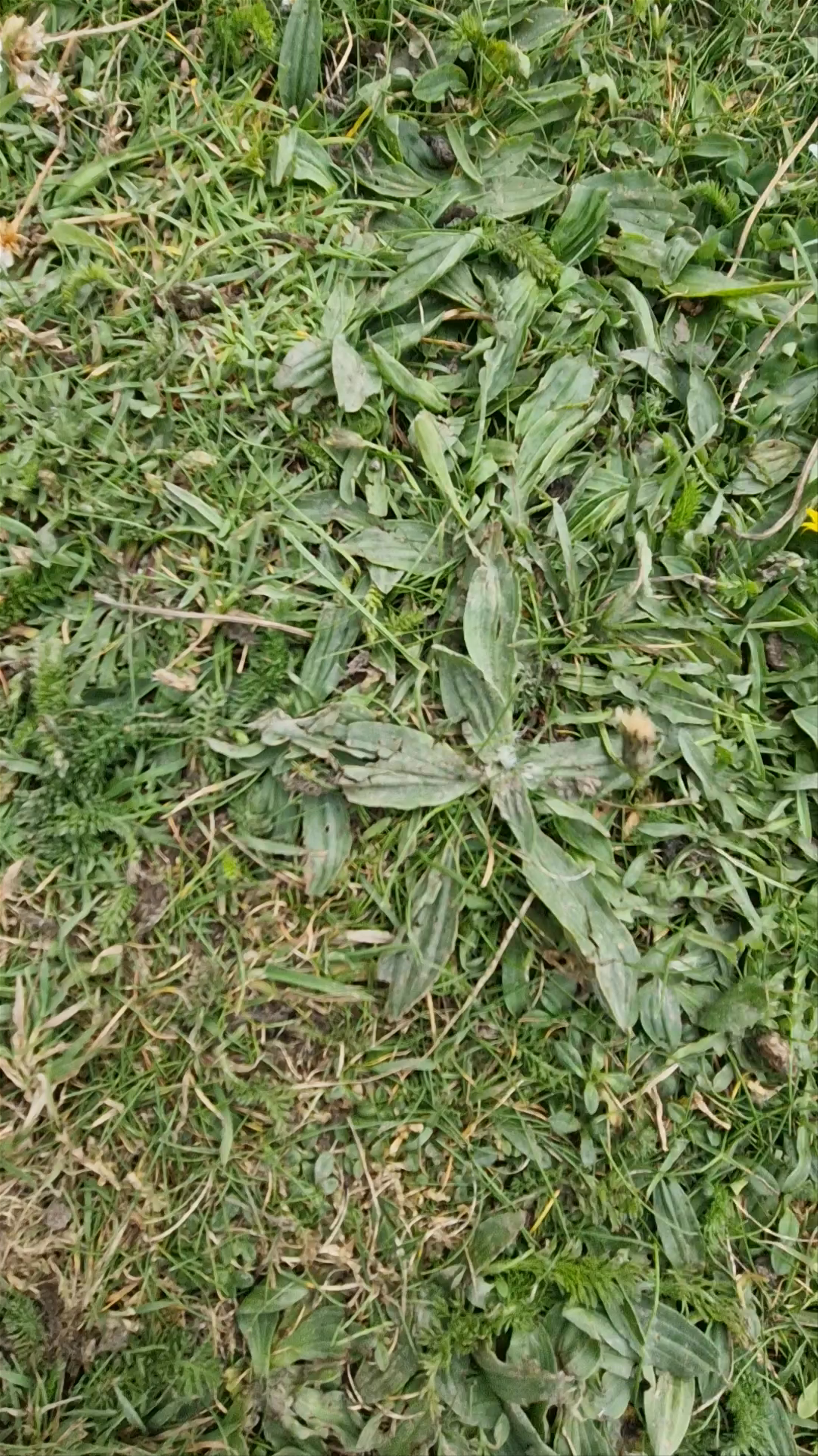 Viewing point Cliffs of Moher