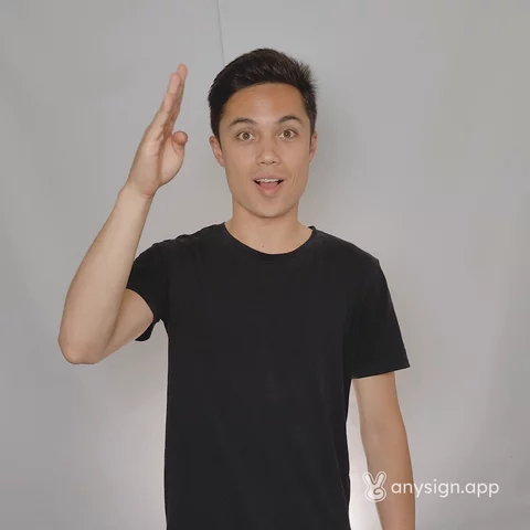 Video still of a sign language sign