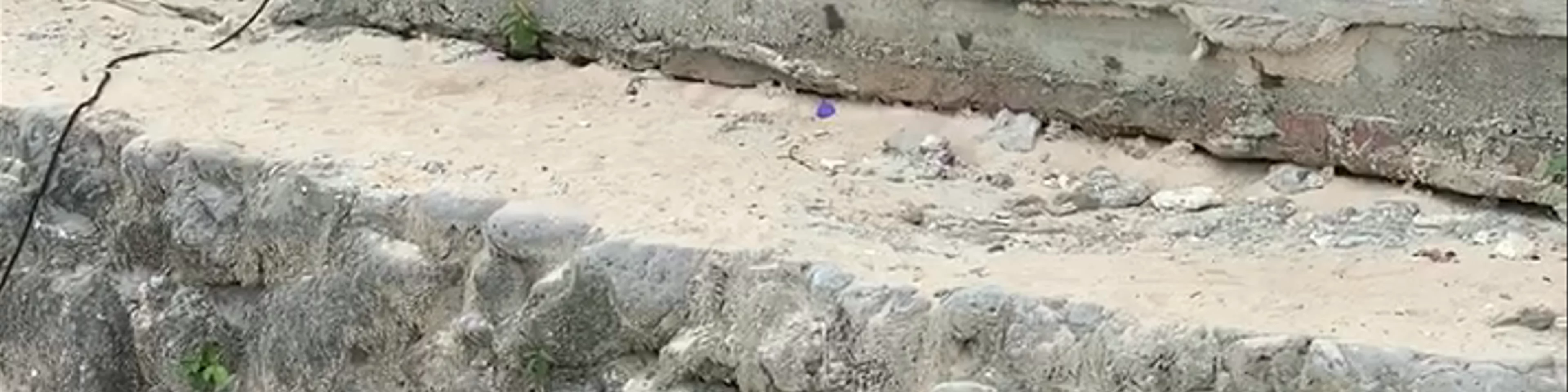 Monkey Island Beach