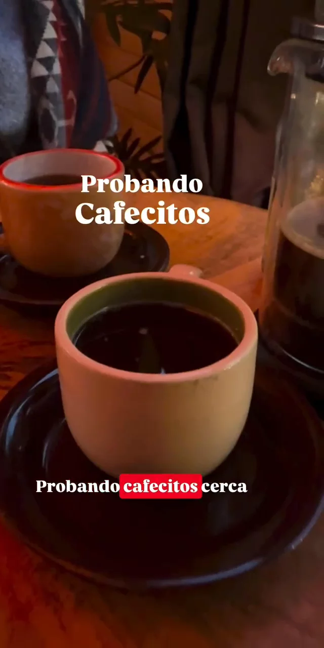 Contenido del creador