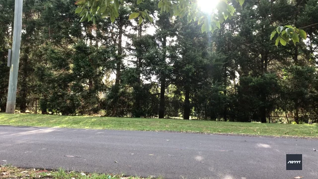 riu set: Double backflip