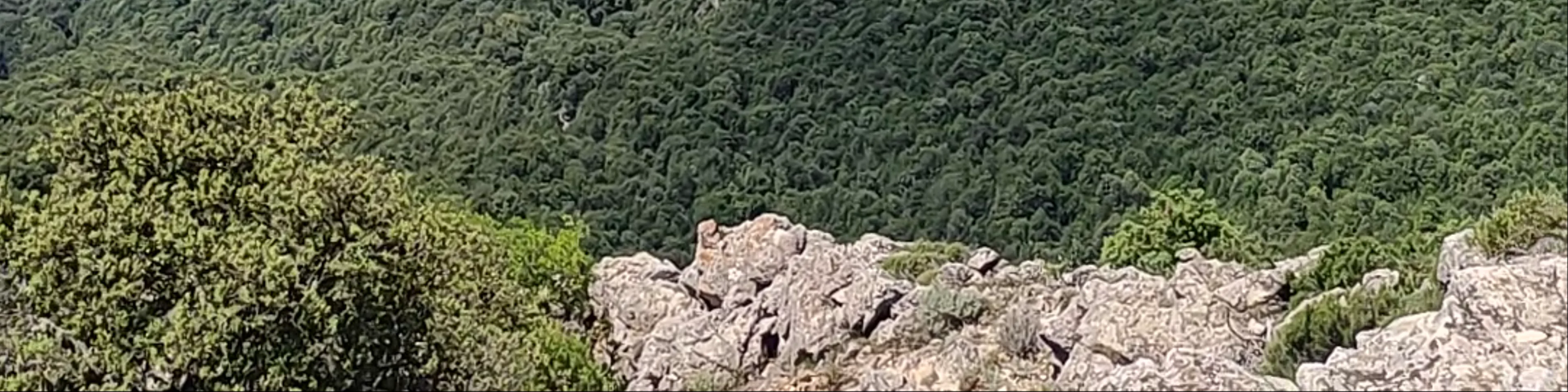 Monte Corrasi