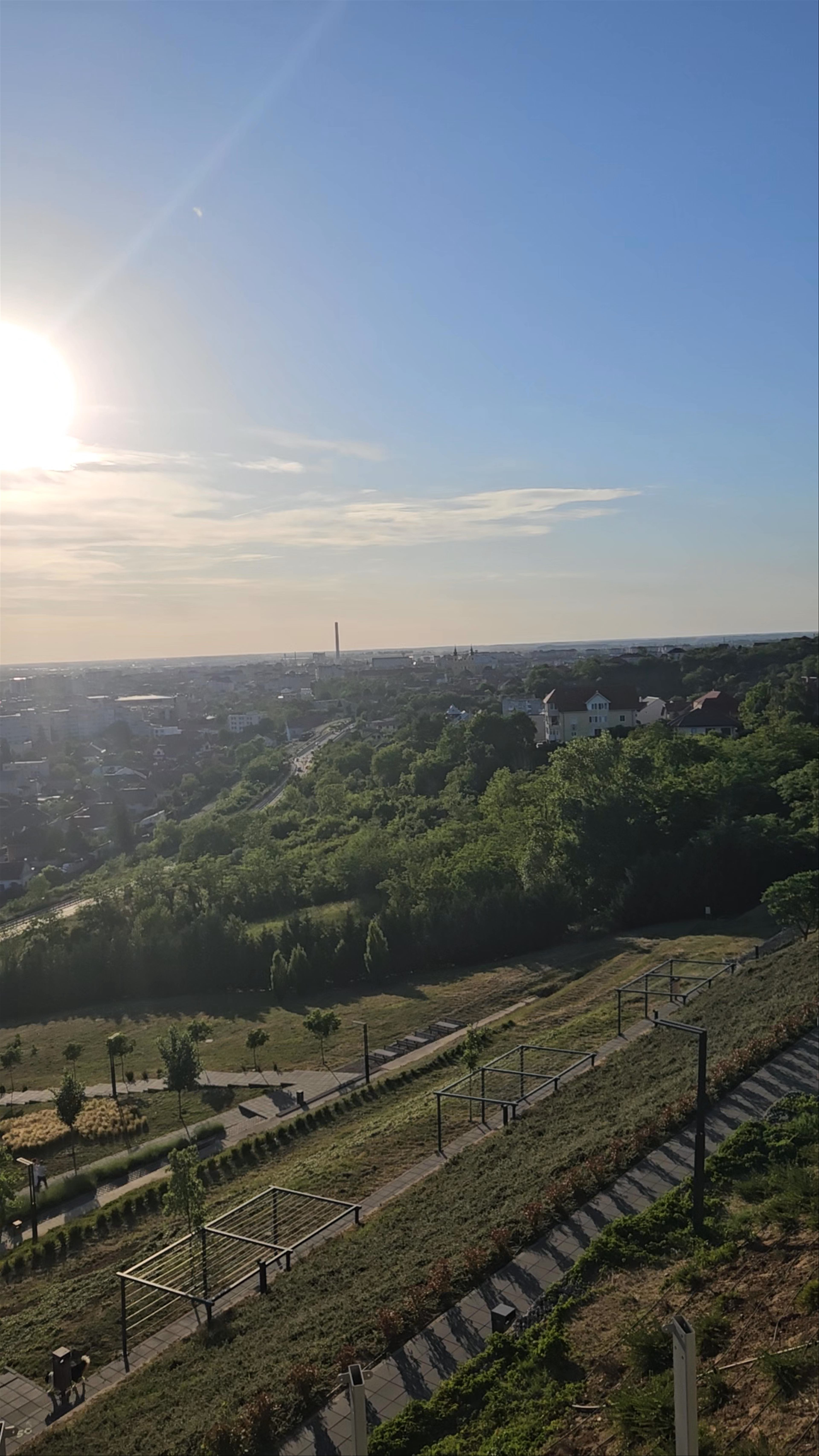 Mushroom Hill