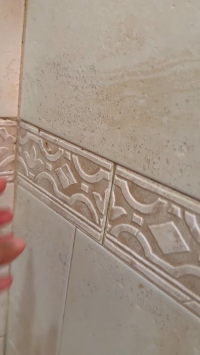 Stanley Steemer - How does cleaning work? - Carpet Cleaning Near Me - Clifton, New Jersey