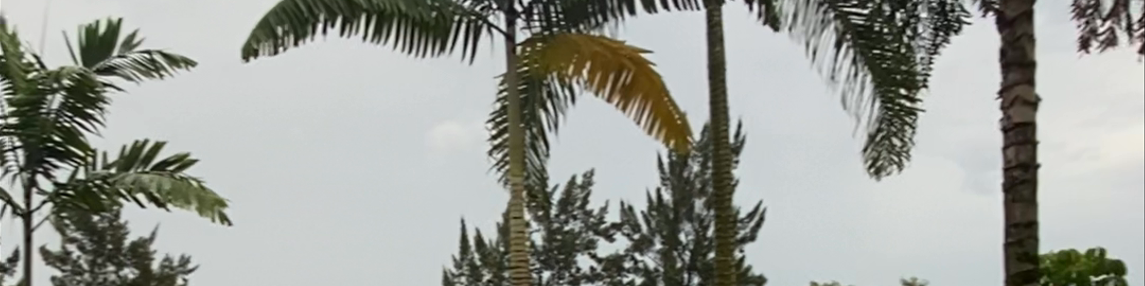 Rwanda