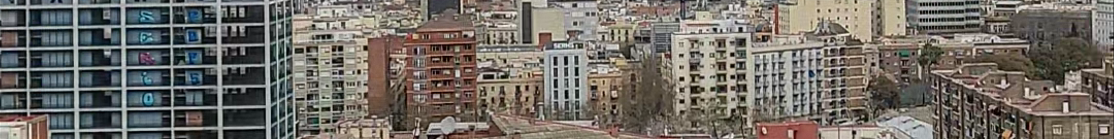 Tours & experiences in Barcelona