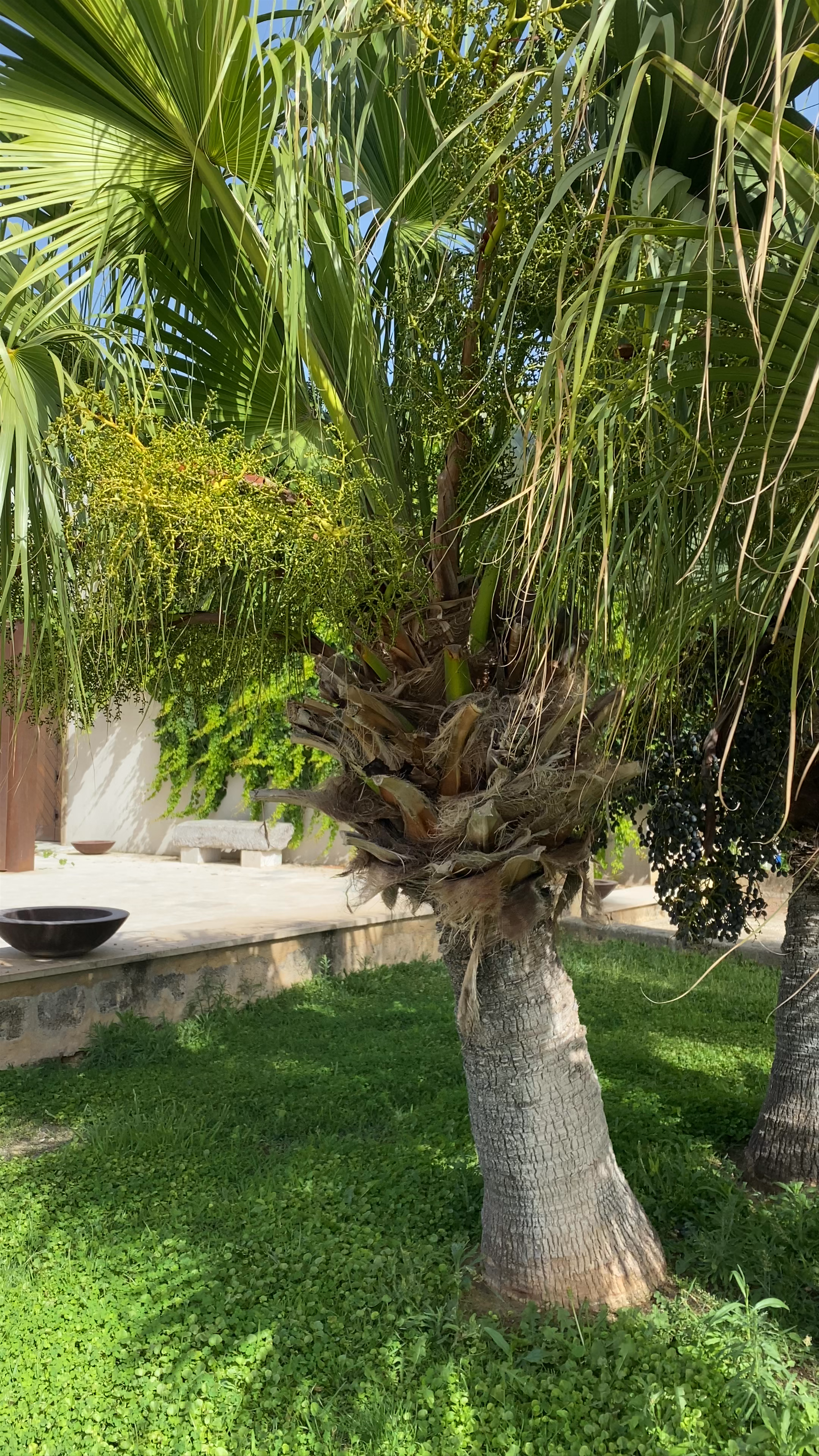 Cantine Florio: Sunlit Serenity in Marsala's Historic Winery