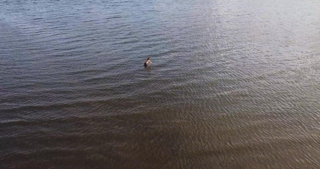 Man swimming in a river