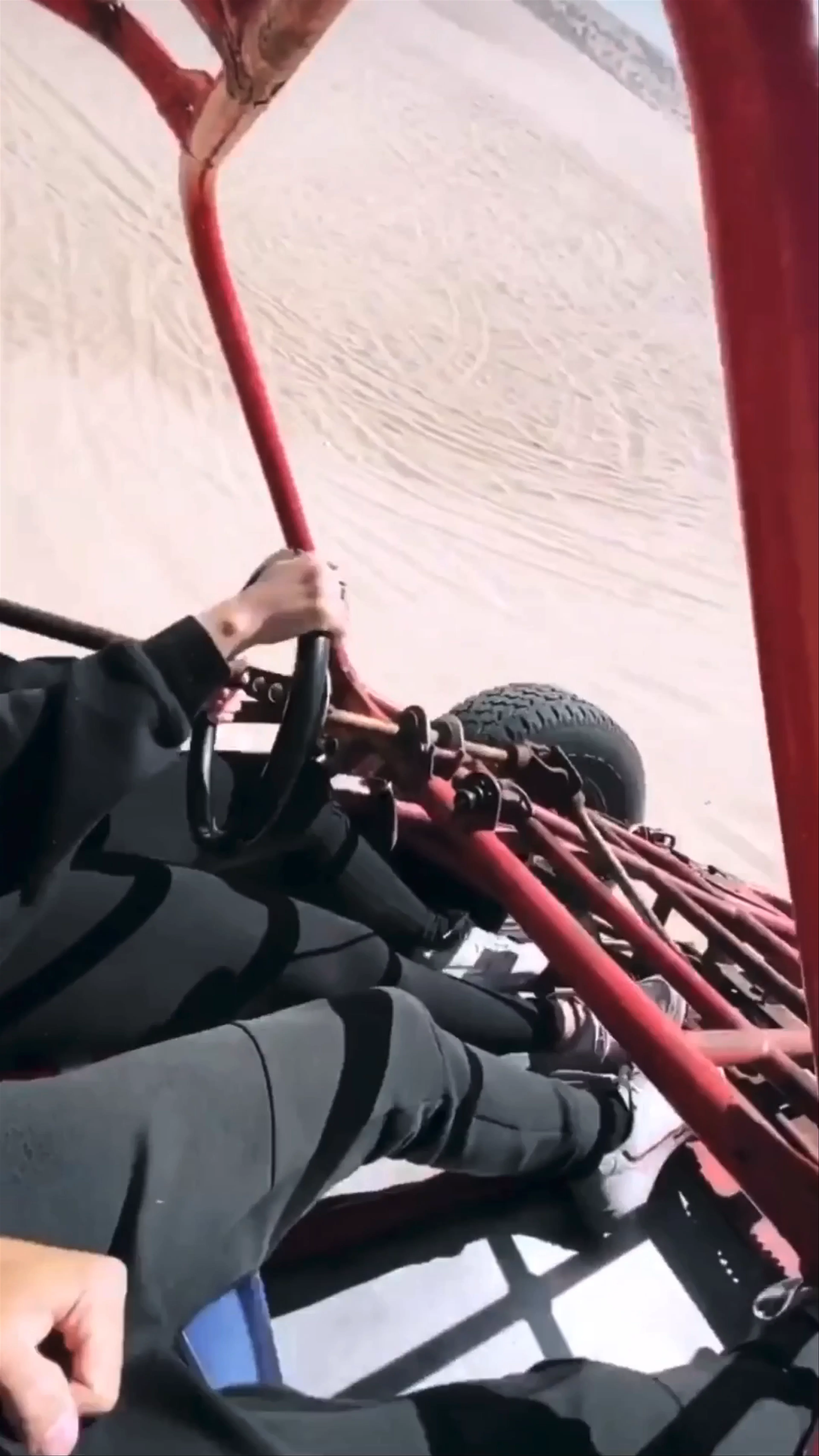 G-Force Adventures, Av. La Paz, Cabo San Lucas, BCS, Mexico