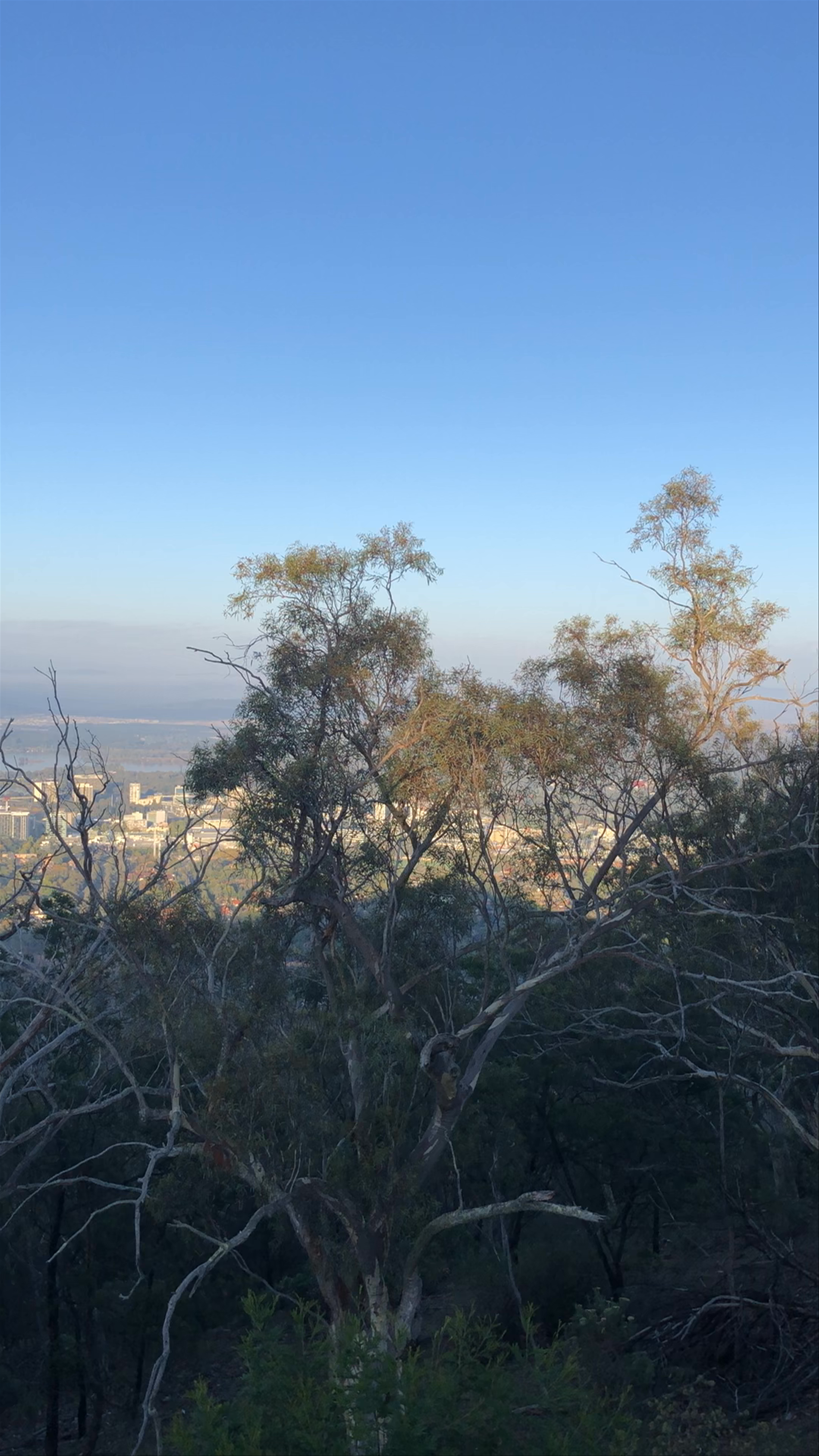 Mount Ainslie Lookout