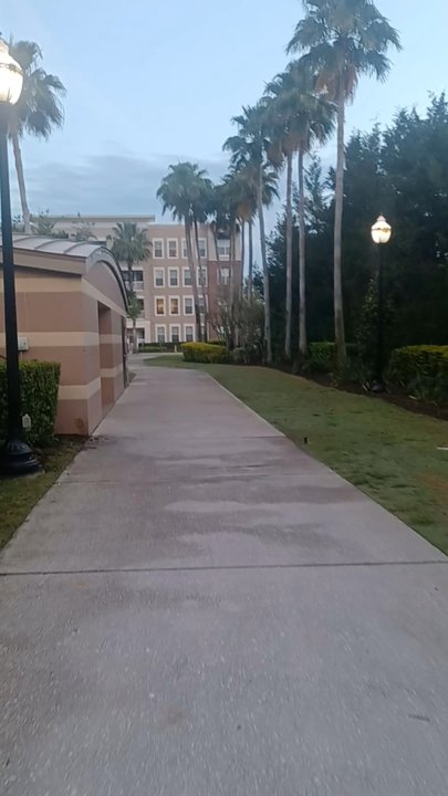 Avalon Town Park - Parks Near Me - Orlando, Florida