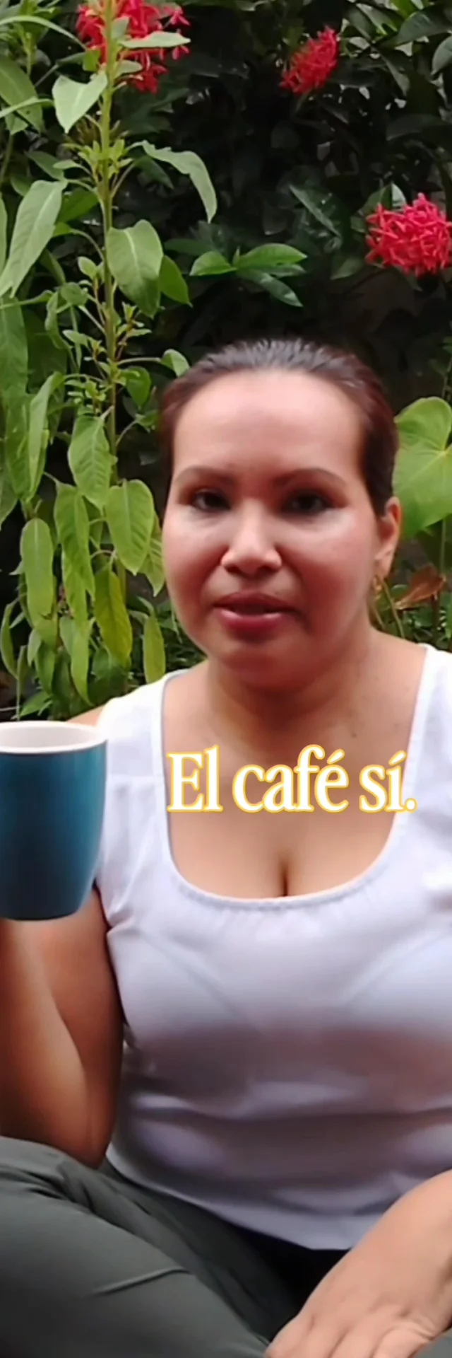 Contenido del creador
