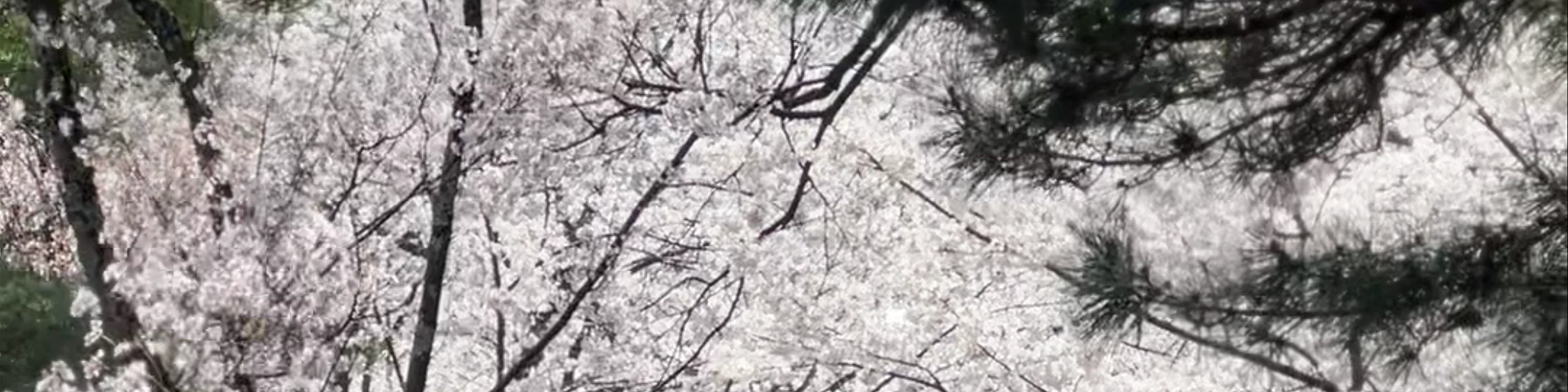 Kenroku-en