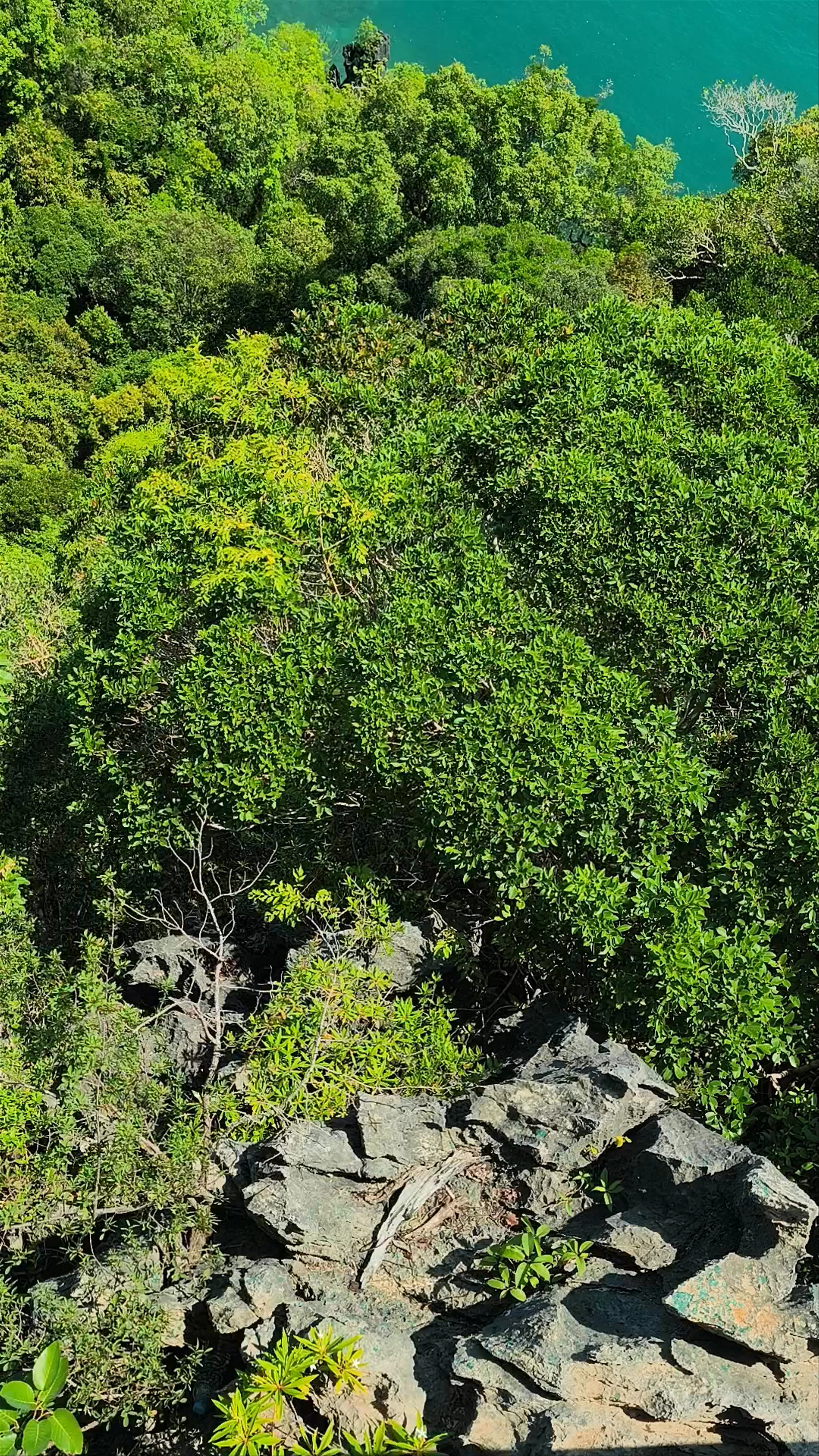 Phang Nga Bay