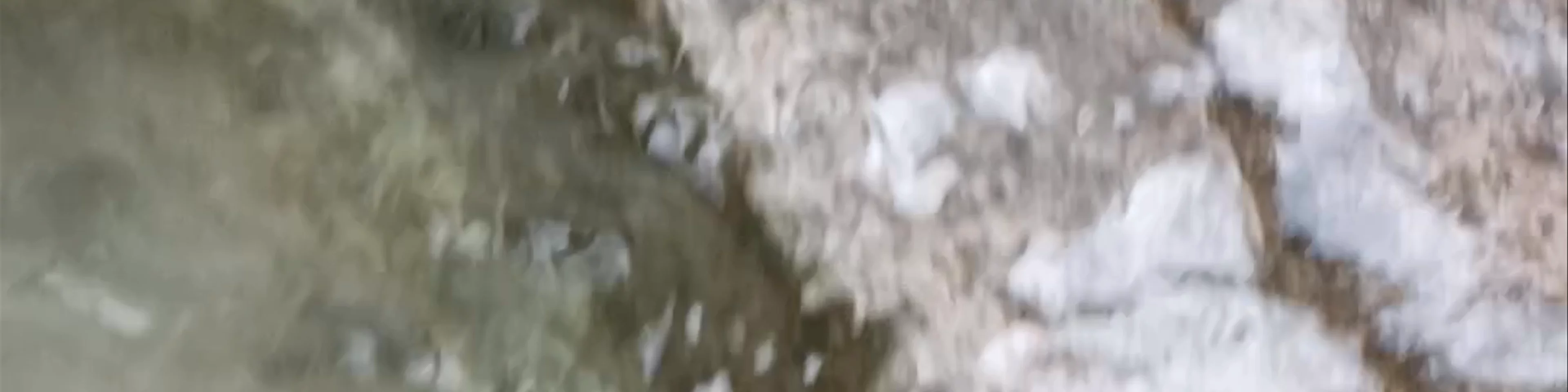 Charco de las Canales (piscina natural)