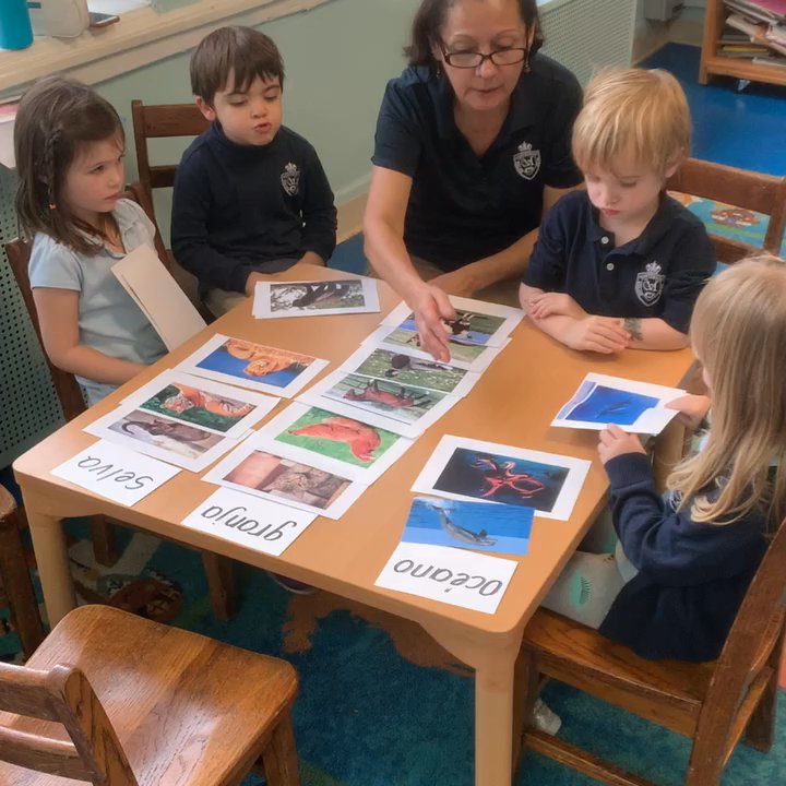 Montessori Gifted Prep - Spanish immersion is everyday at MGP - Preschools Near Me - Chicago, Illinois