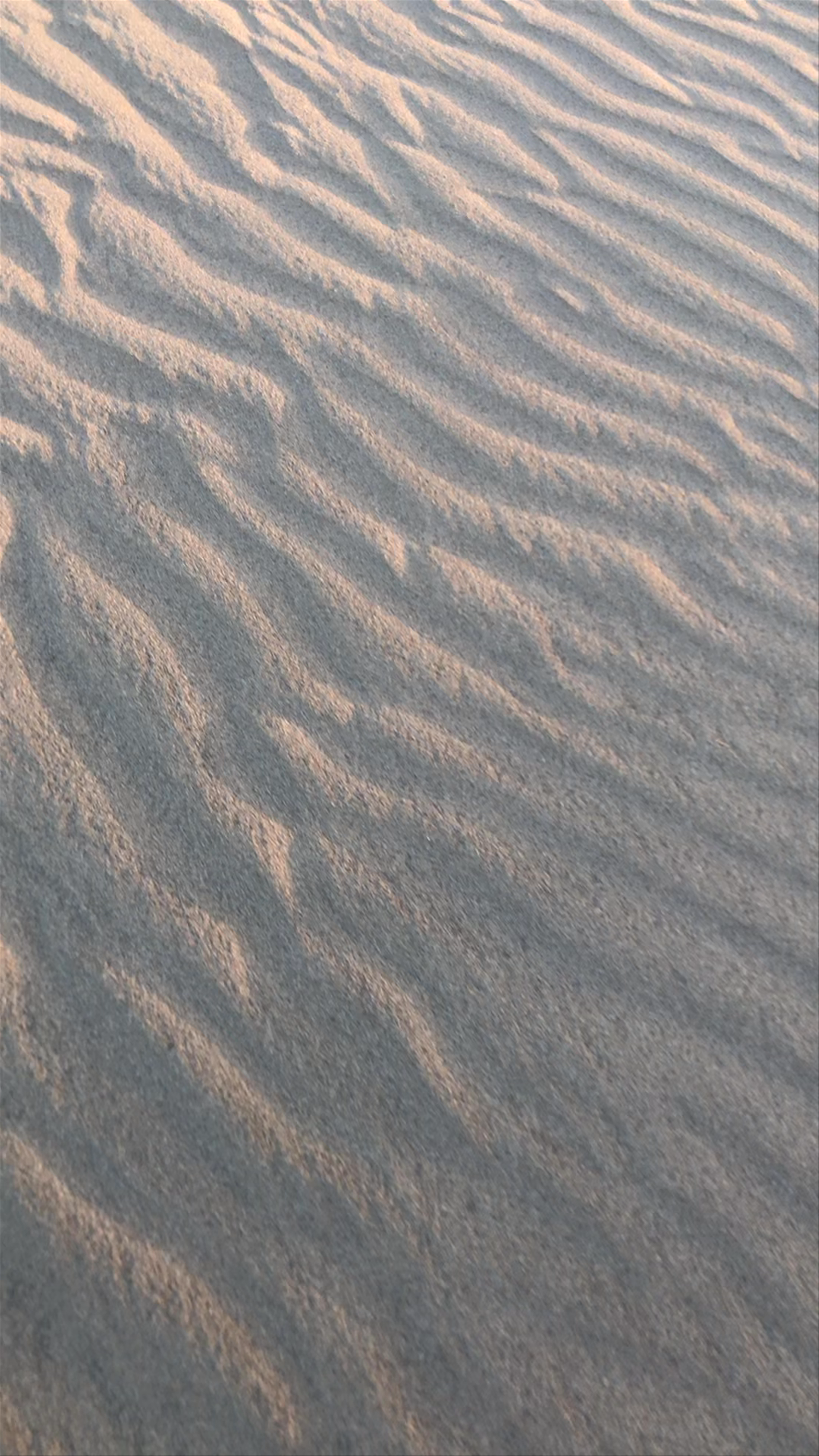 Golden Dunes of Maspalomas: A Sunset Desert Escape