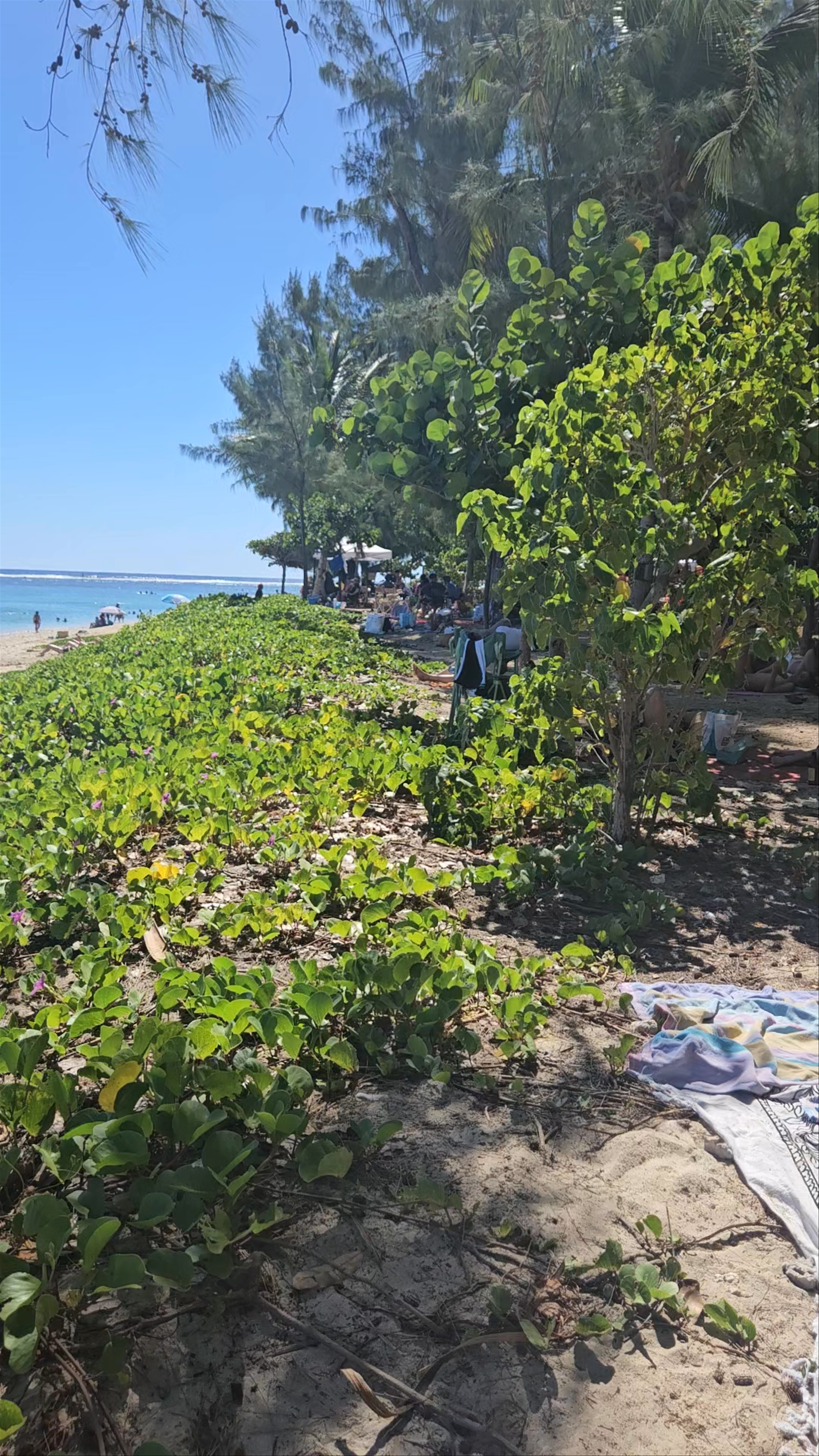 Plage de l'Hermitage