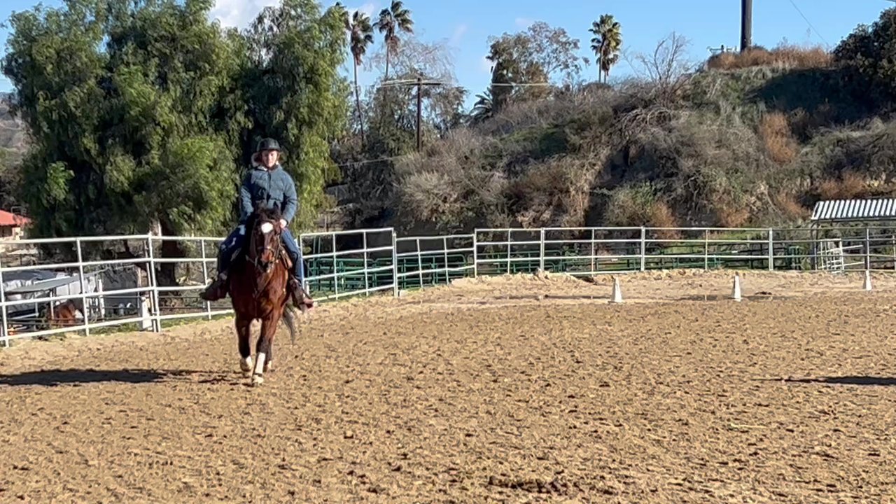 Canyon Lake Farm - Lessons in action! - Horseback Riding Near Me - Redlands, California