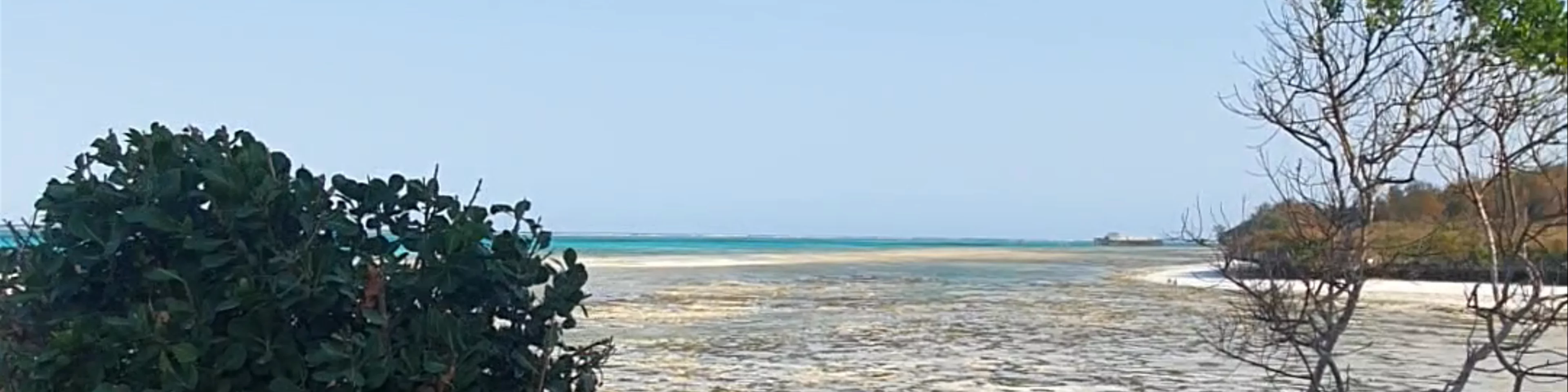The Rock Restaurant Zanzibar